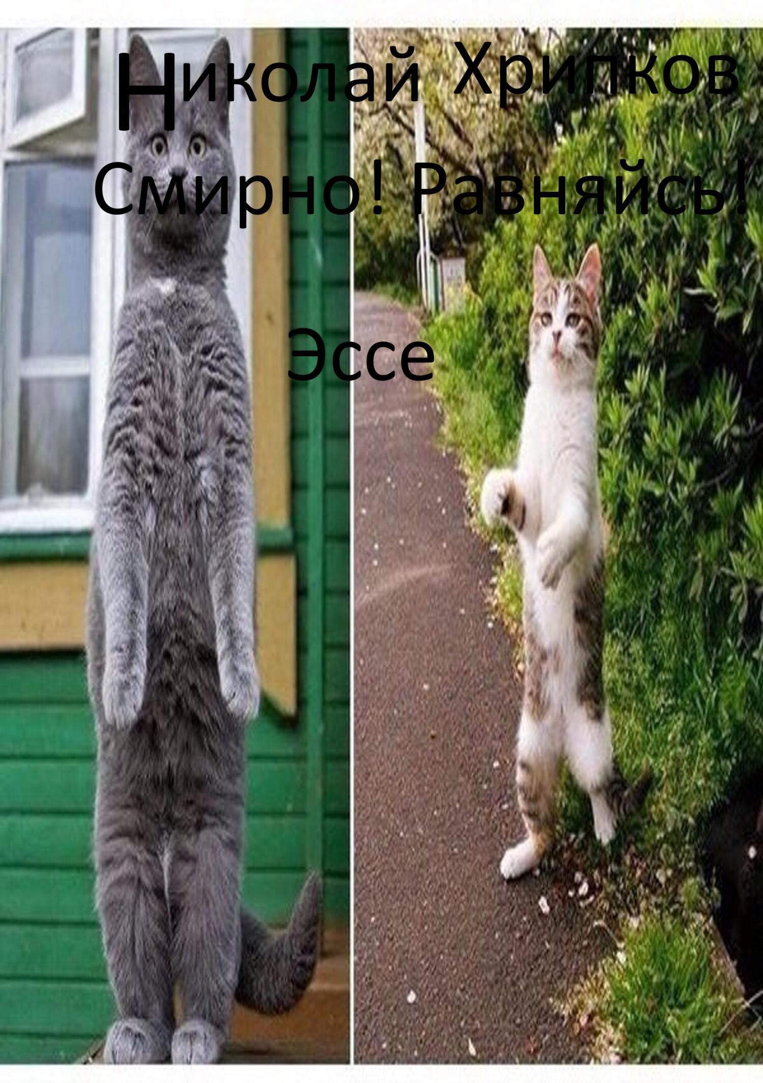 Обложка книги «СМИРНО! Равняйсь! ЭССЕ»