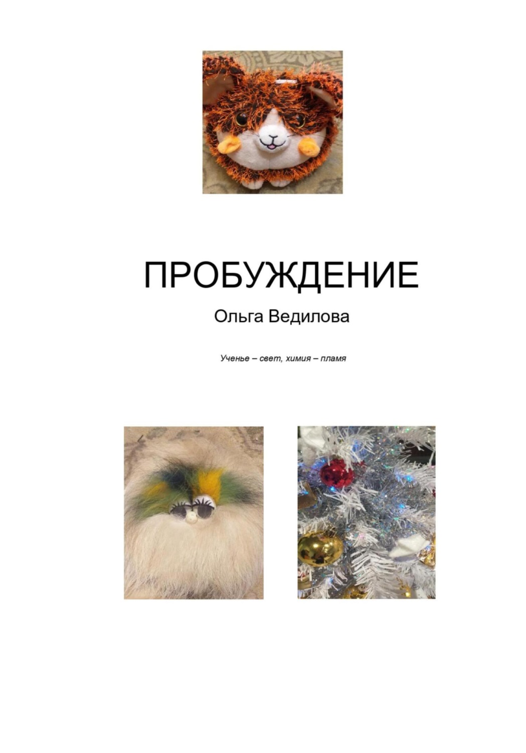 Обложка книги «Пробуждение»