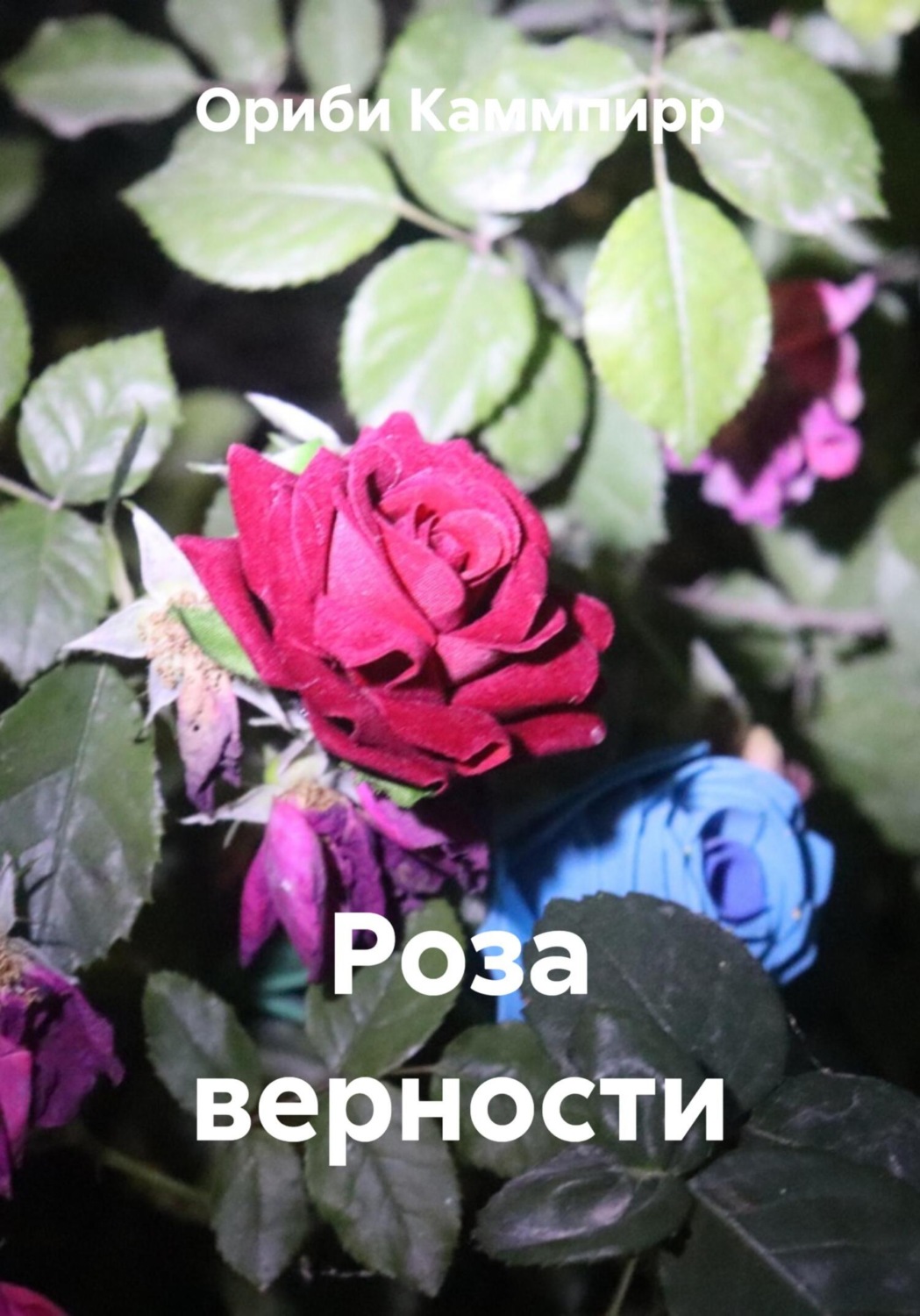 Обложка книги «Роза верности»