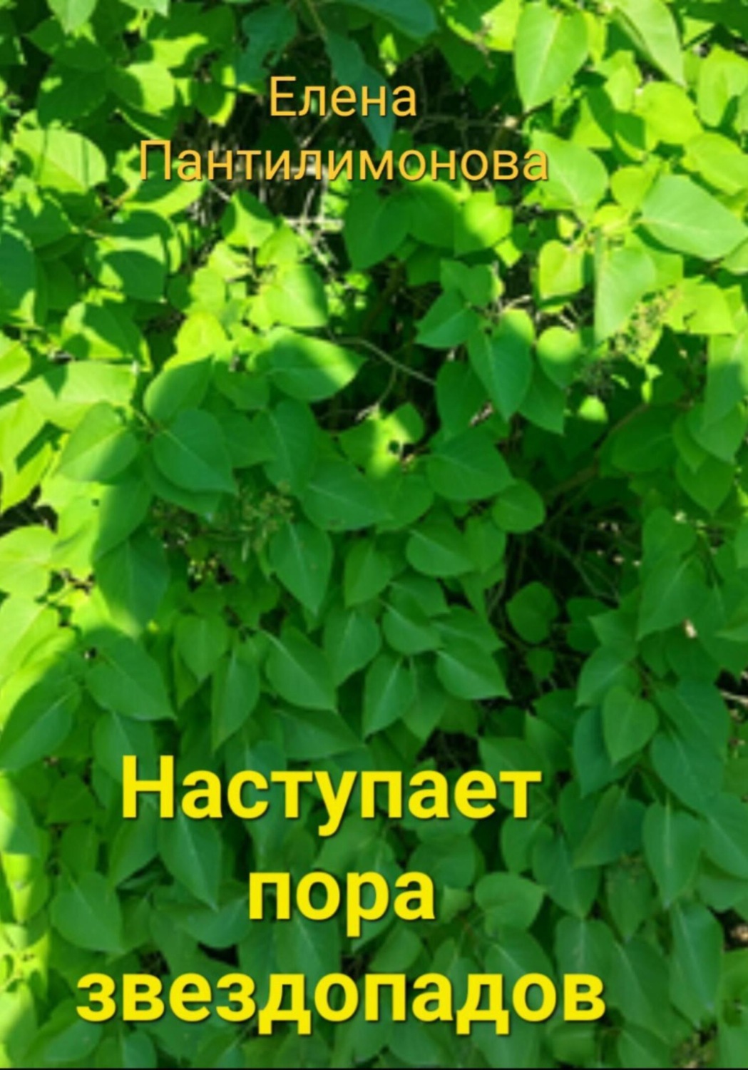 Обложка книги «Наступает пора звездопадов»