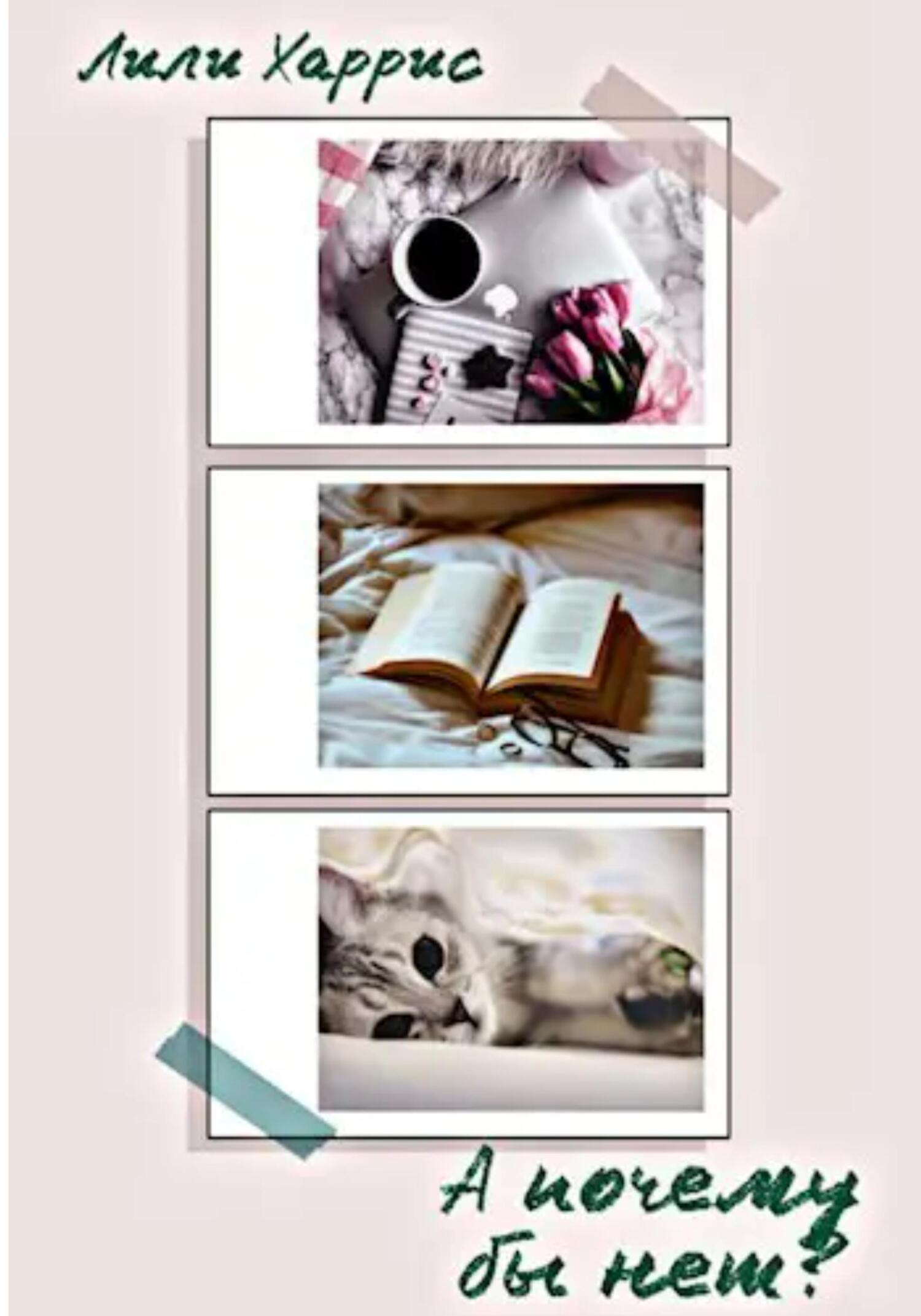 Обложка книги «А почему бы нет?»