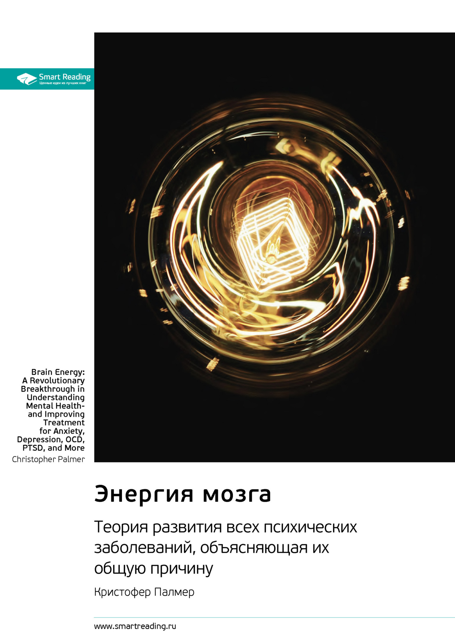 Обложка книги «Энергия мозга. Теория развития всех психических заболеваний, объясняющая их общую причину. Кристофер Палмер. Саммари»