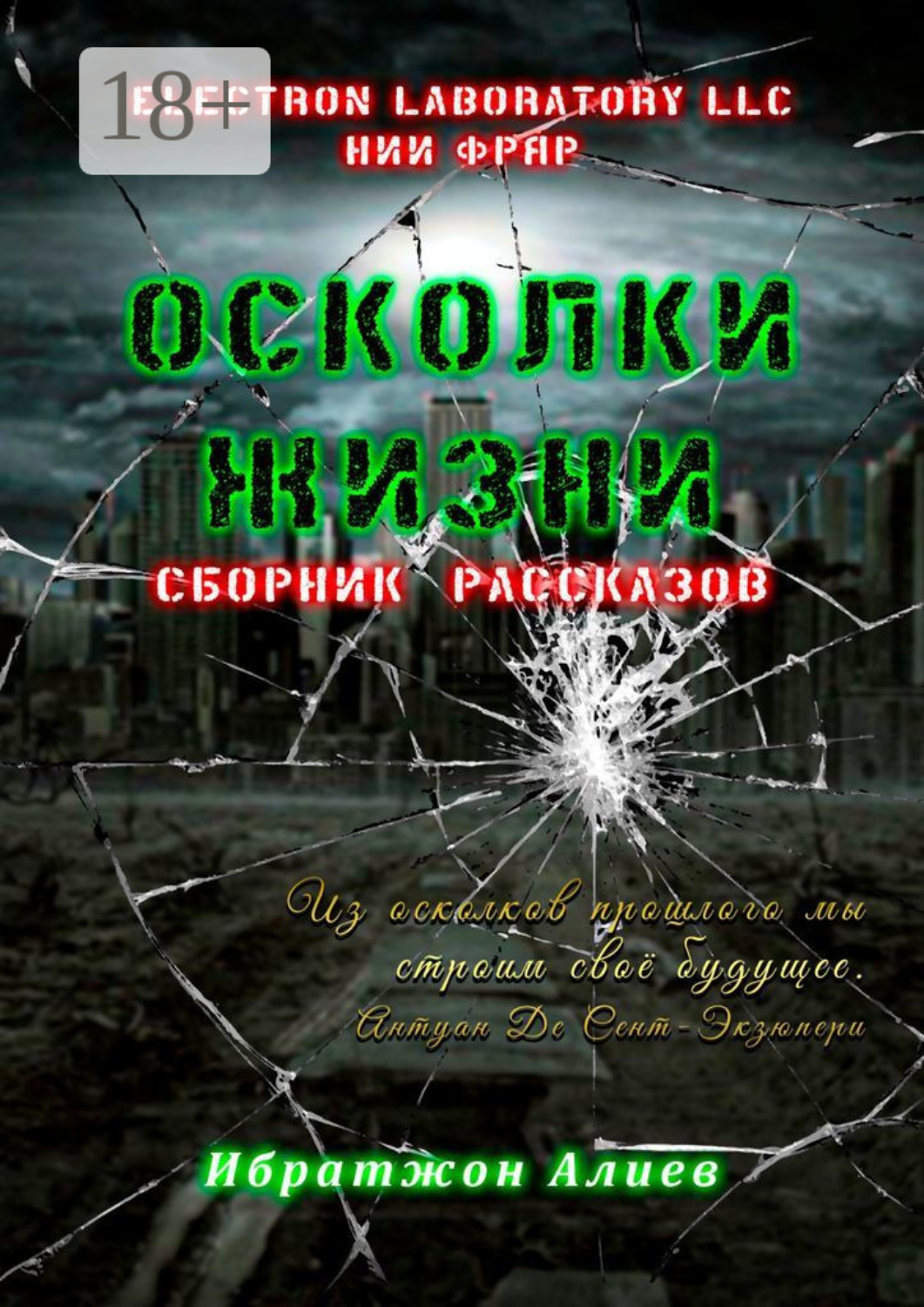 Обложка книги «Осколки жизни. Сборник рассказов»