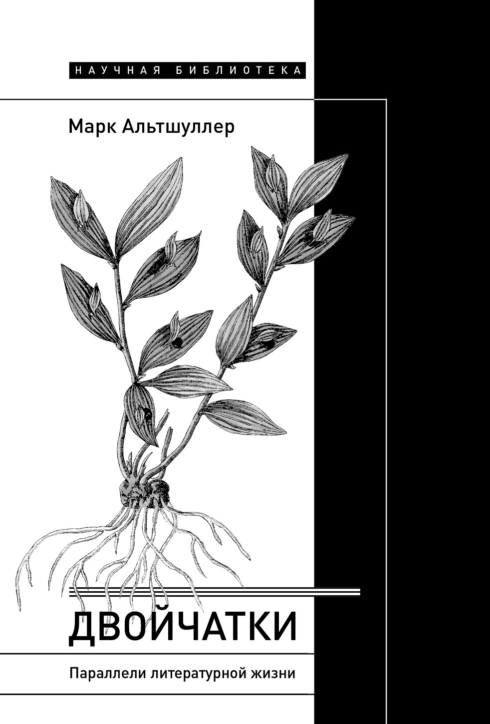 Обложка книги «Двойчатки: параллели литературной жизни»
