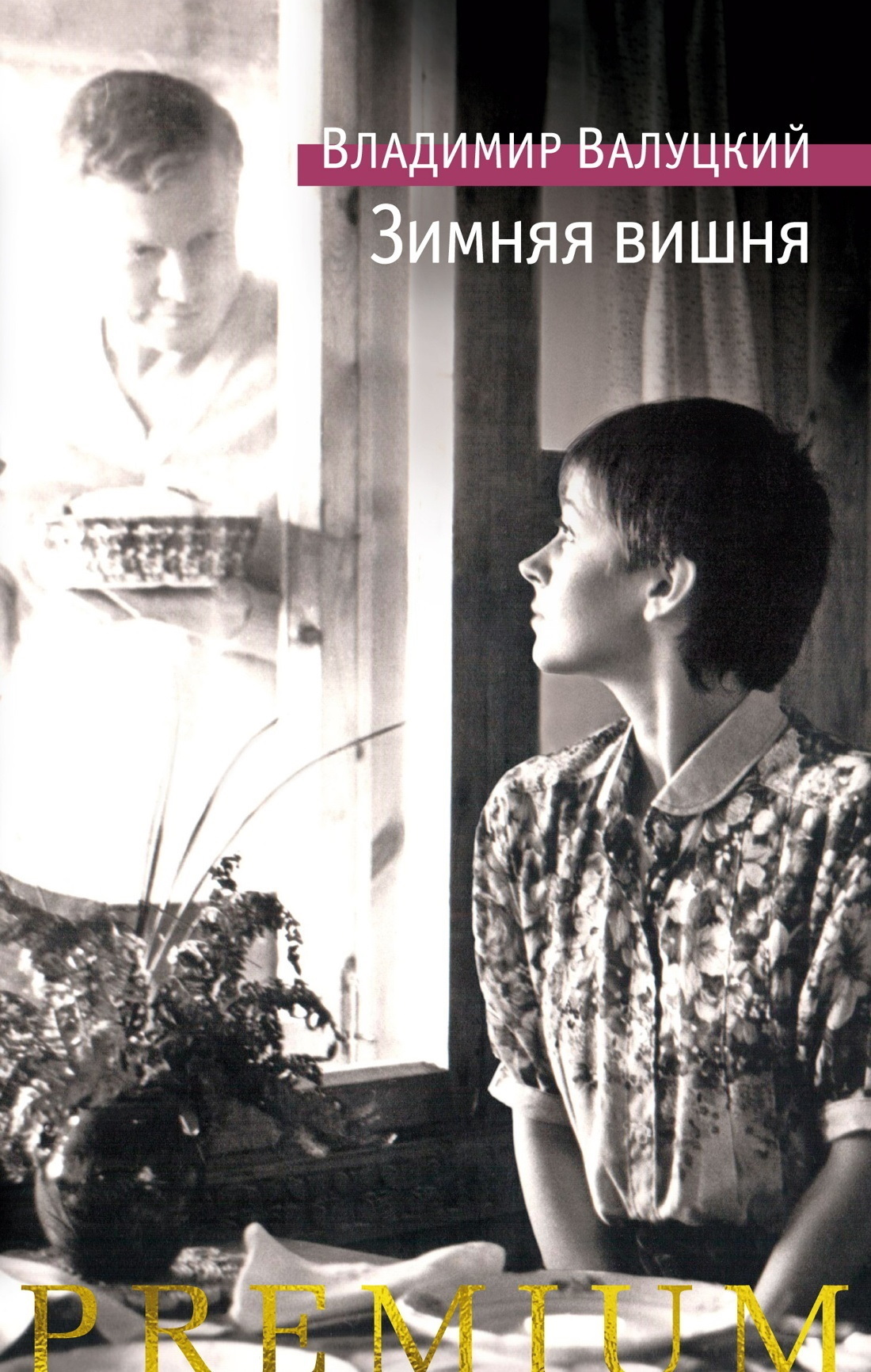 Обложка книги «Зимняя вишня»