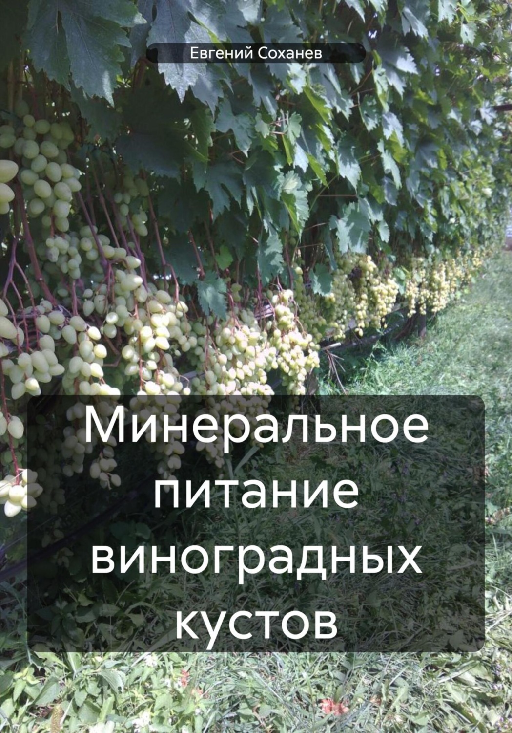 Обложка книги «Минеральное питание виноградных кустов»