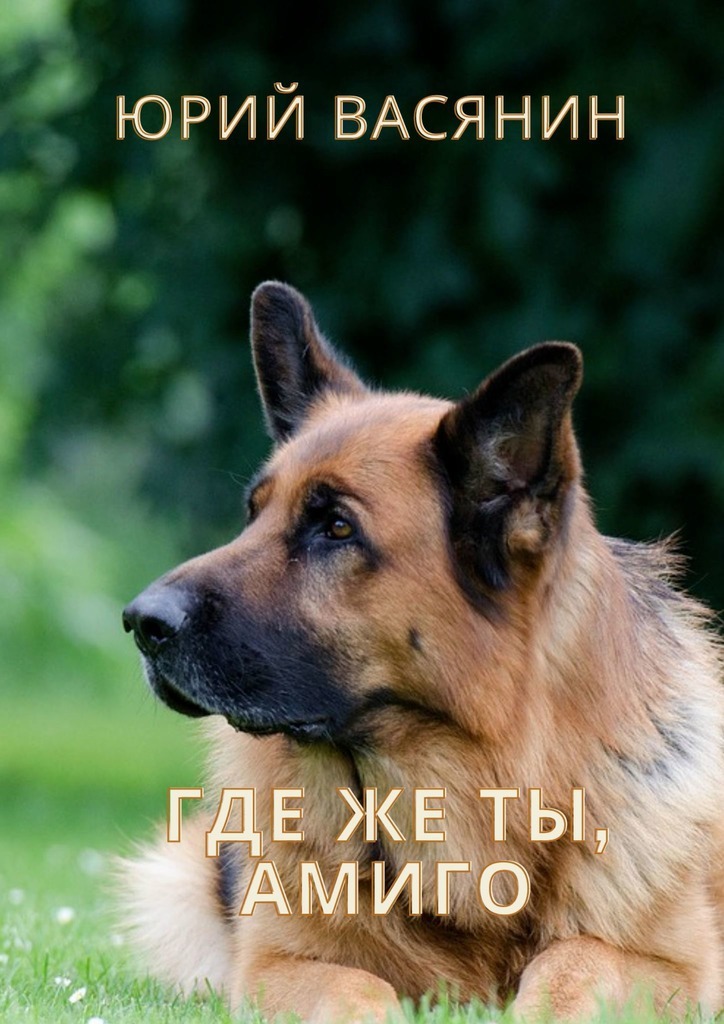 Обложка книги «Где же ты, Амиго?»