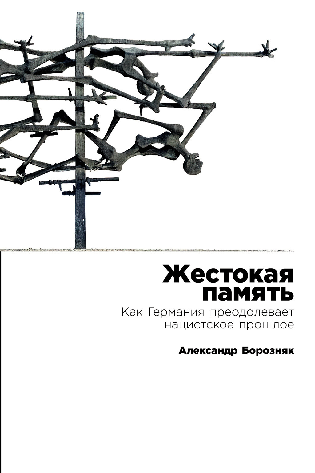 Обложка книги «Жестокая память: Как Германия преодолевает нацистское прошлое»