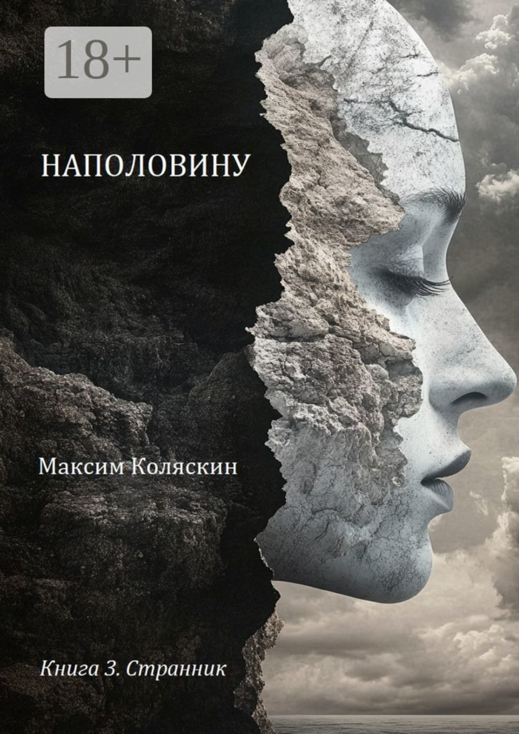 Обложка книги «Наполовину. Книга 3. Странник»