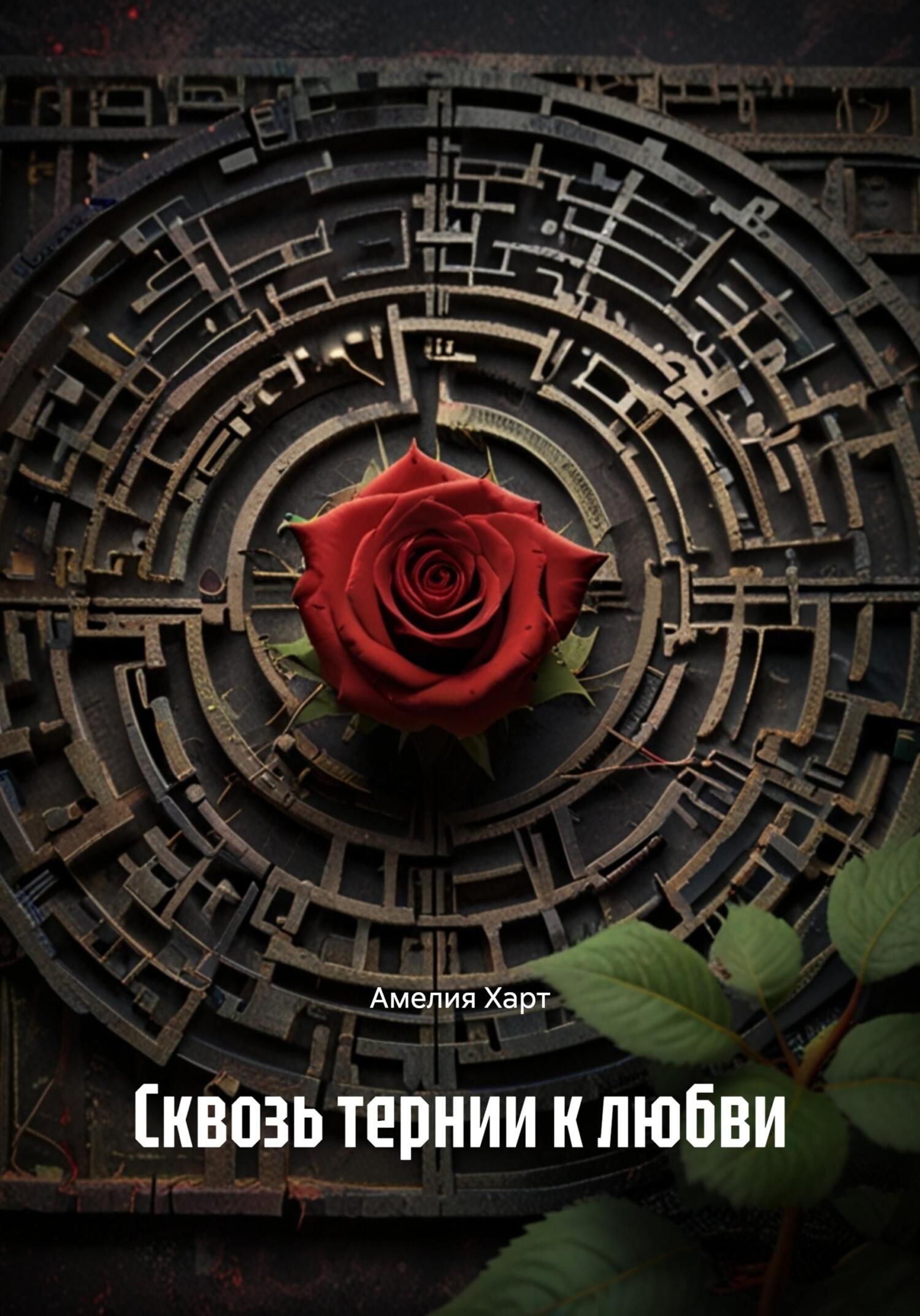 Обложка книги «Сквозь тернии к любви»