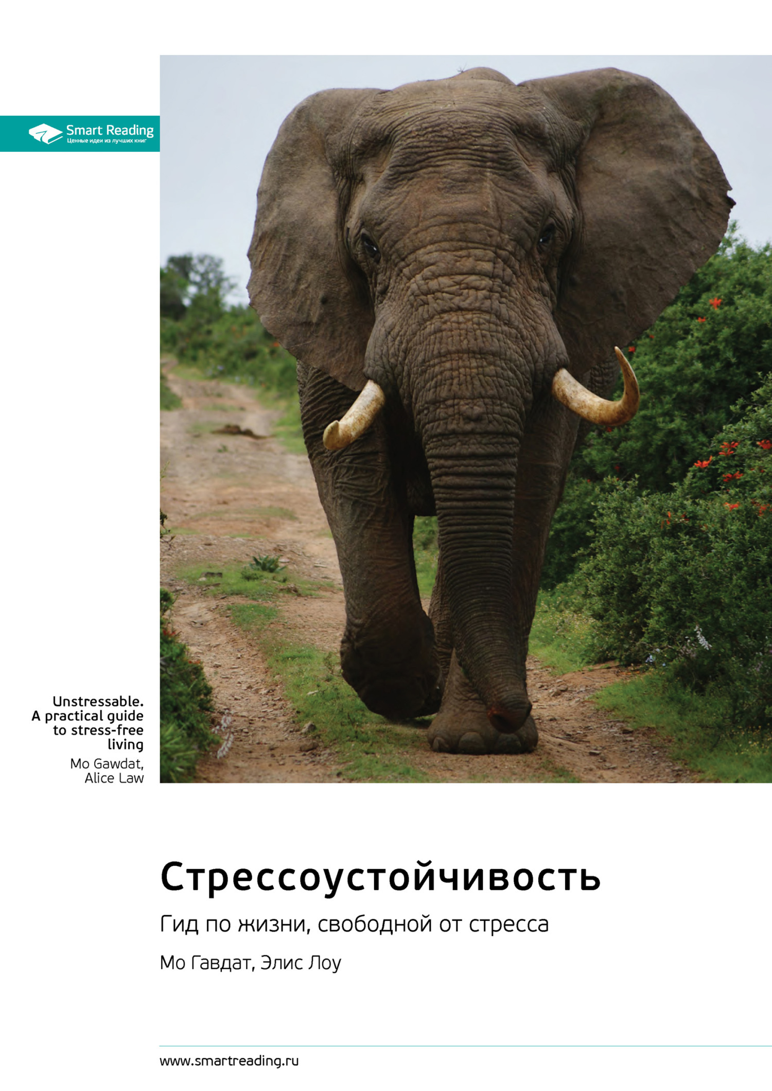 Обложка книги «Стрессоустойчивость. Гид по жизни, свободной от стресса. Мо Гавдат, Элис Лоу. Саммари»