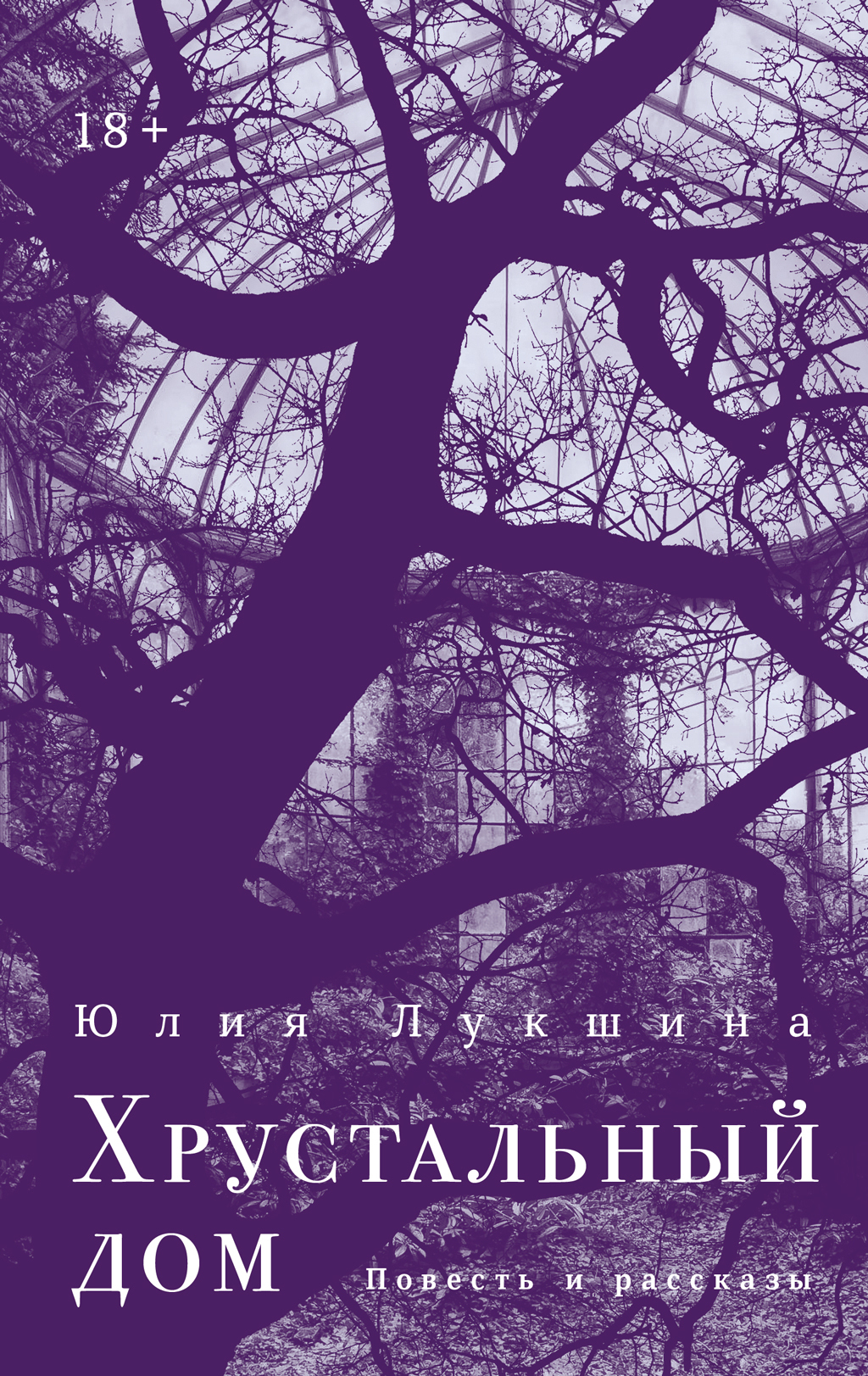 Обложка книги «Хрустальный дом»