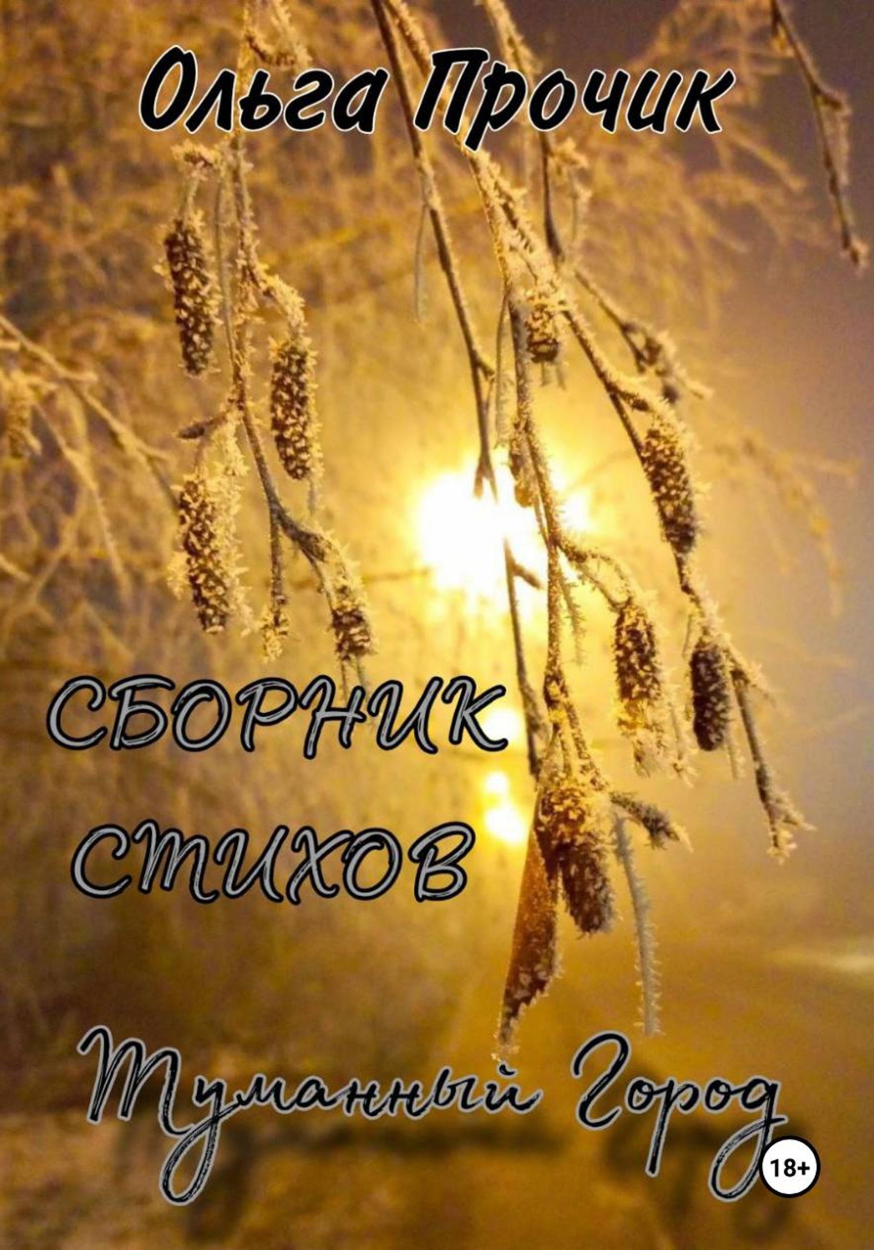 Обложка книги «Туманный город. Сборник стихов»