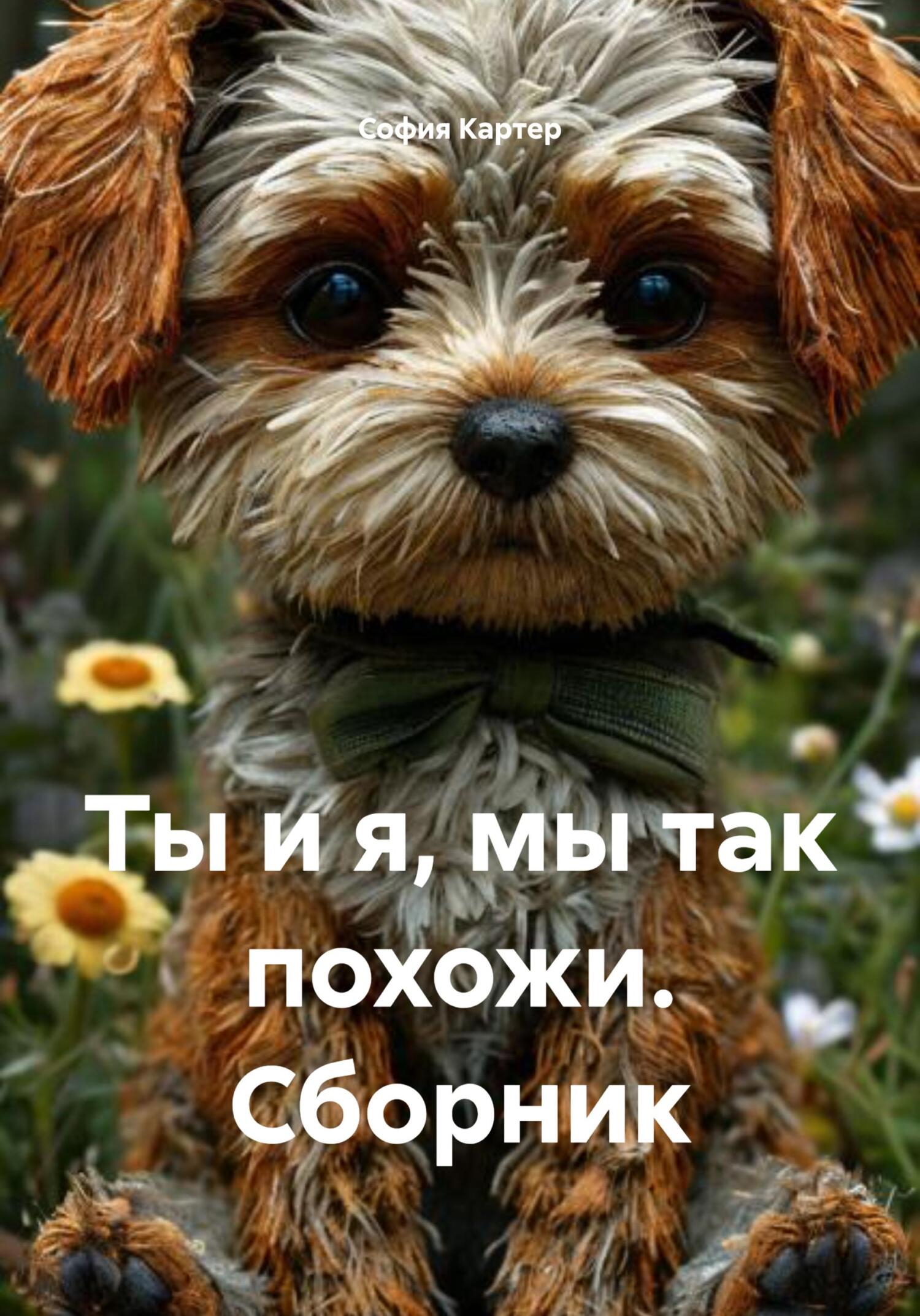 Обложка книги «Ты и я, мы так похожи. Сборник»