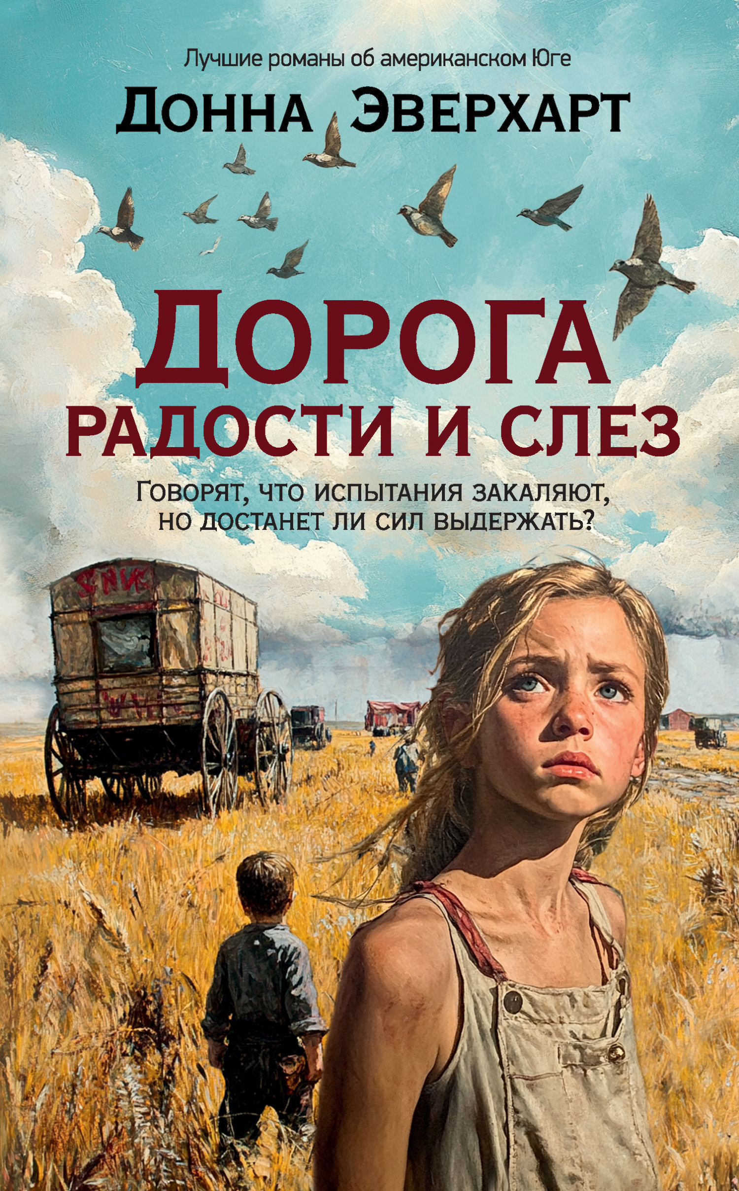 Обложка книги «Дорога радости и слез»