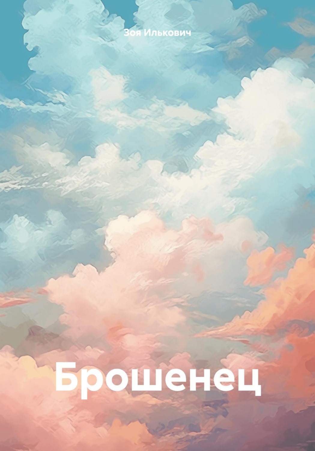 Обложка книги «Брошенец»