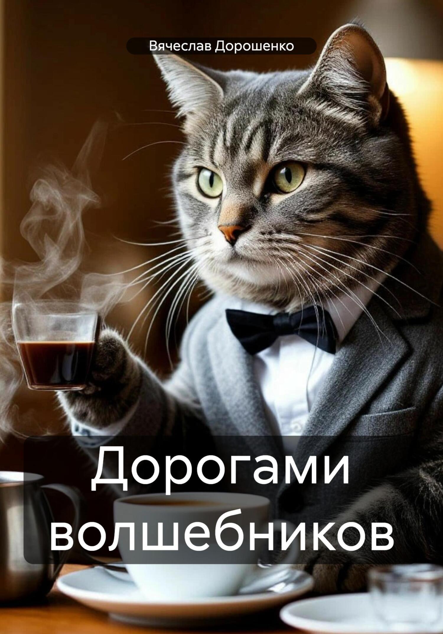 Обложка книги «Дорогами волшебников»