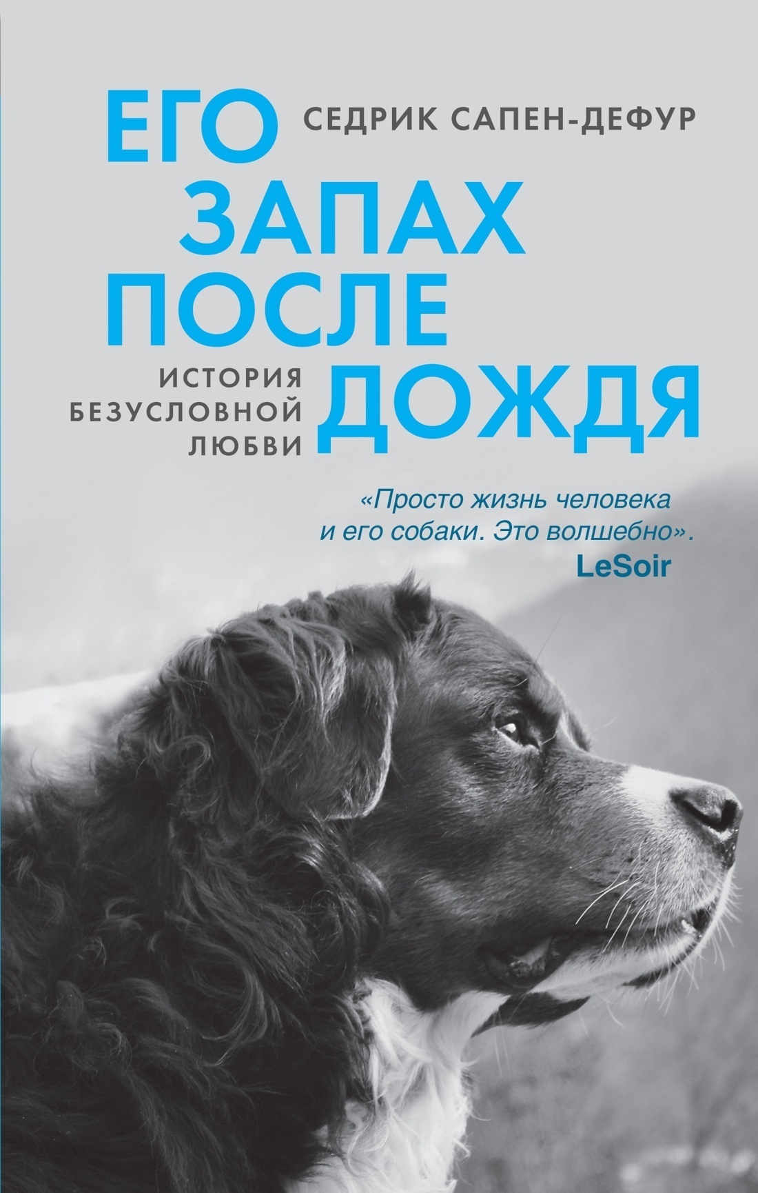 Обложка книги «Его запах после дождя»