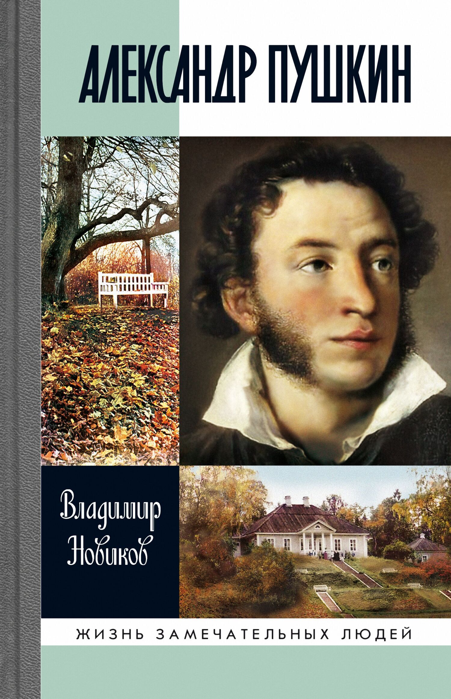 Обложка книги «Александр Пушкин»