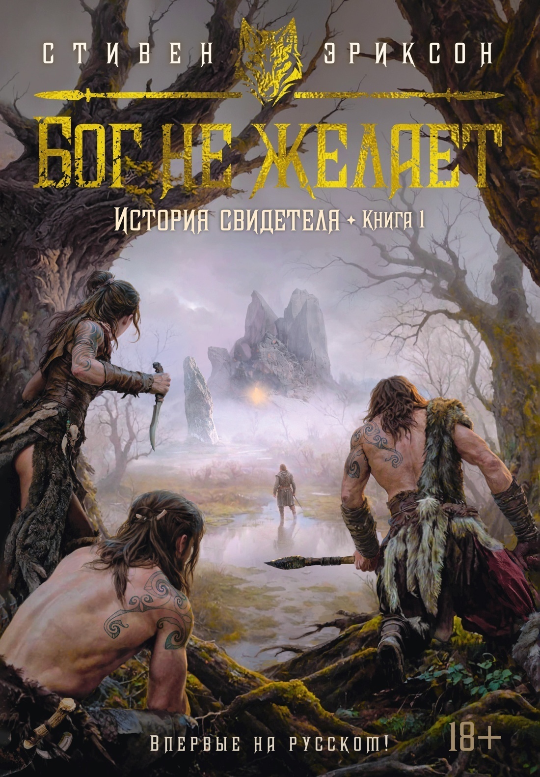 Обложка книги «История свидетеля. Книга 1. Бог не желает»