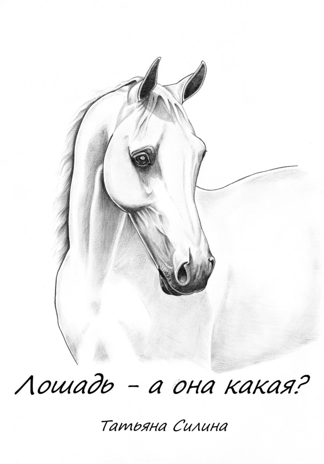 Обложка книги «Лошадь – а она какая? Часть вторая»