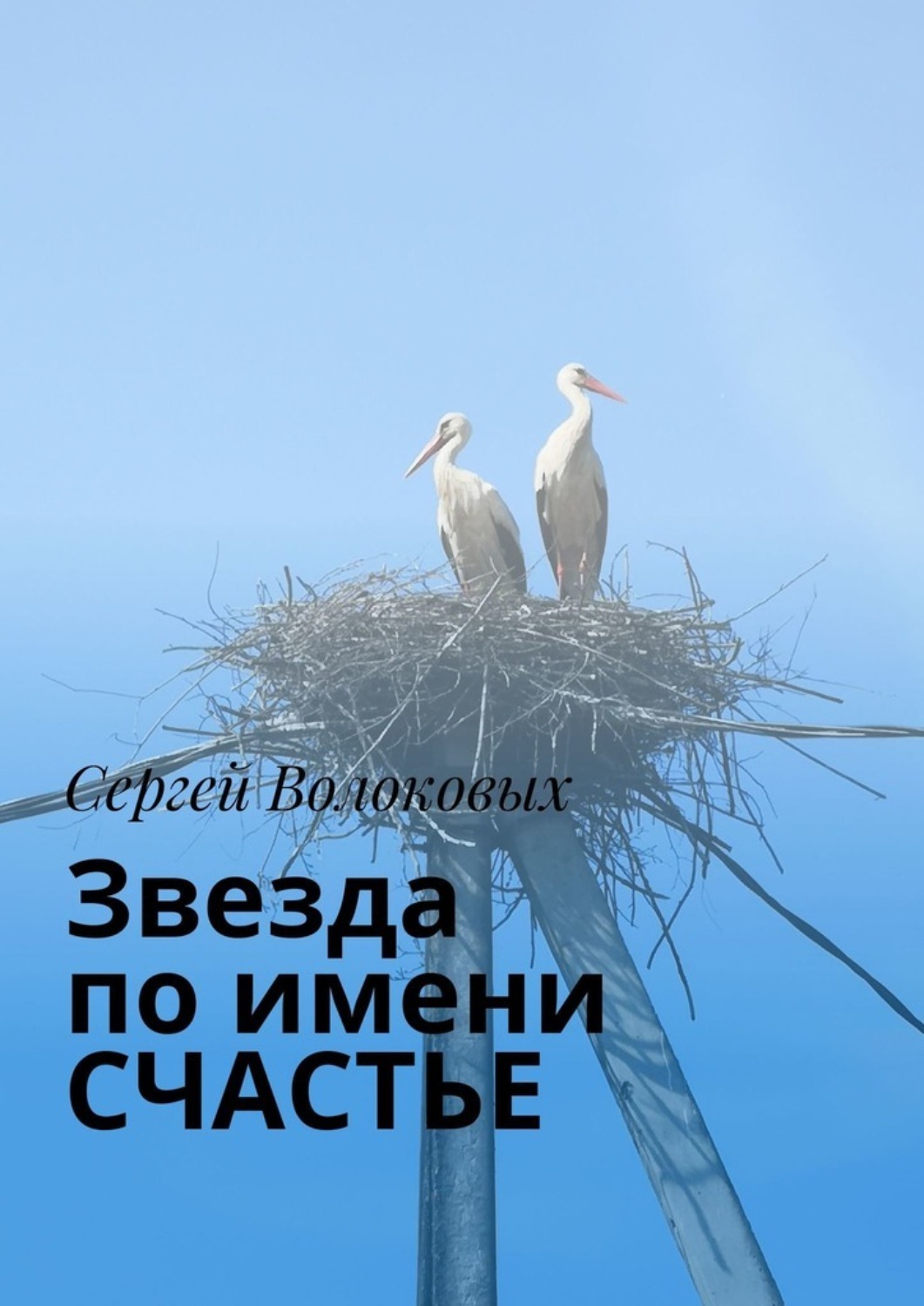 Обложка книги «Звезда по имени Счастье»