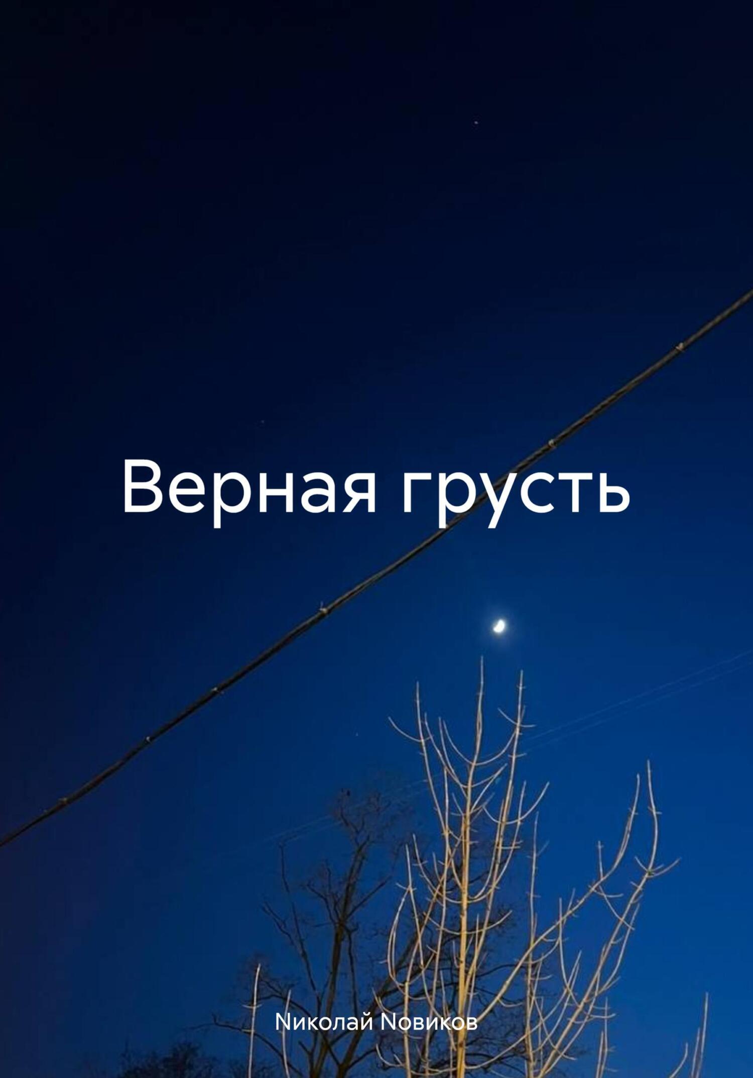 Обложка книги «Верная грусть»