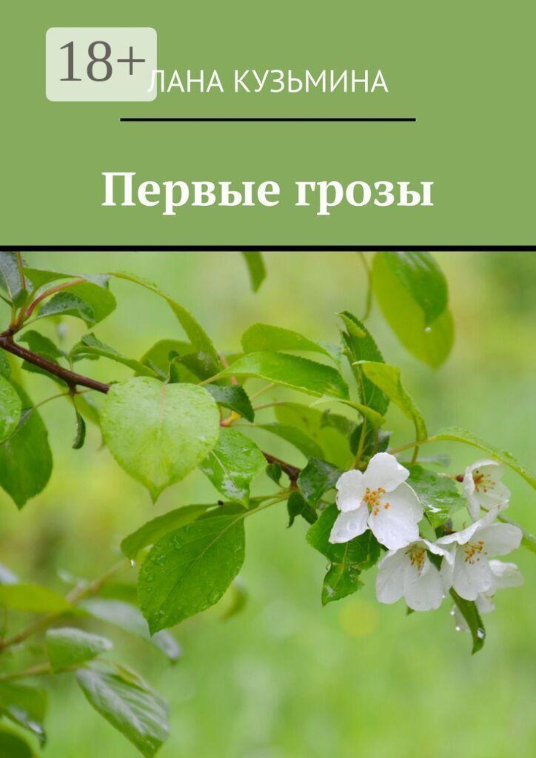 Обложка книги «Первые грозы»