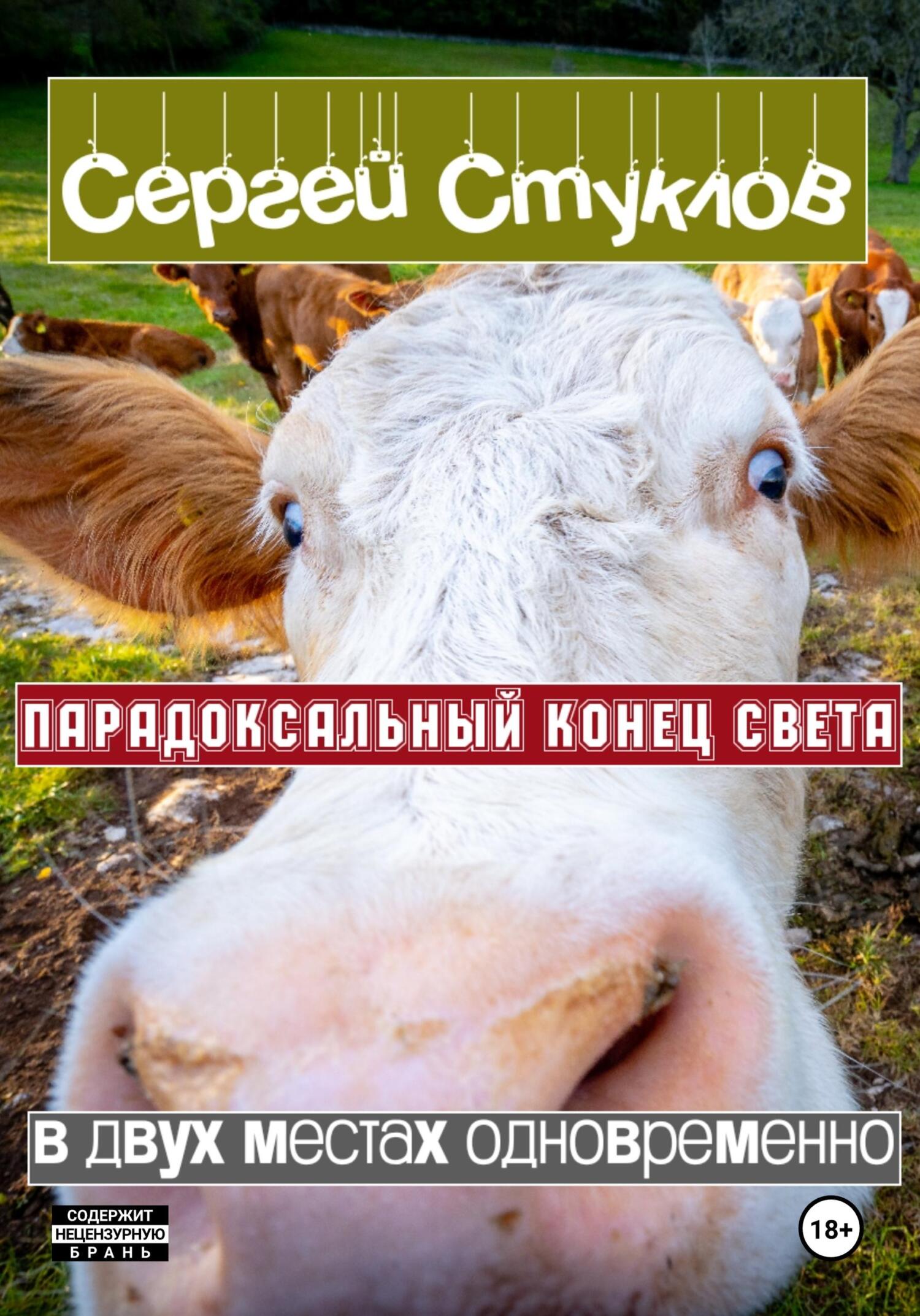 Обложка книги «Парадоксальный Конец Света в двух местах одновременно»
