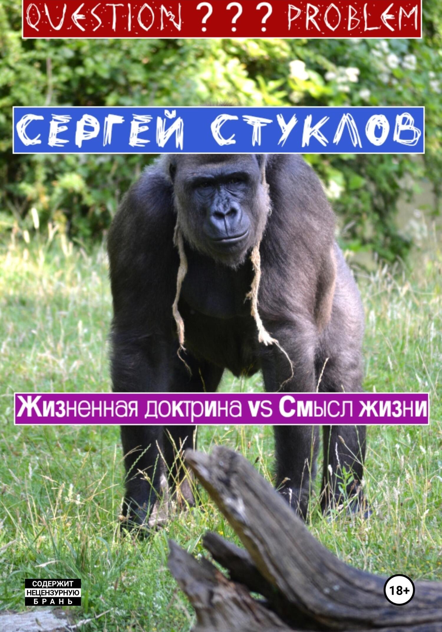 Обложка книги «Жизненная доктрина vs Смысл жизни»