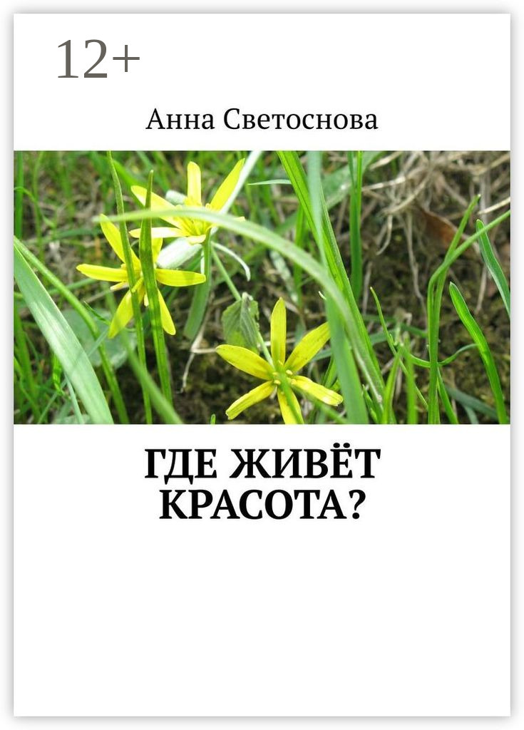 Обложка книги «Где живёт красота?»