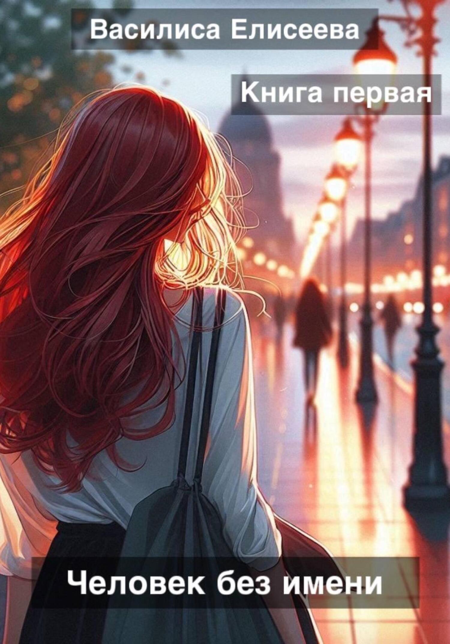 Обложка книги «Человек без имени»