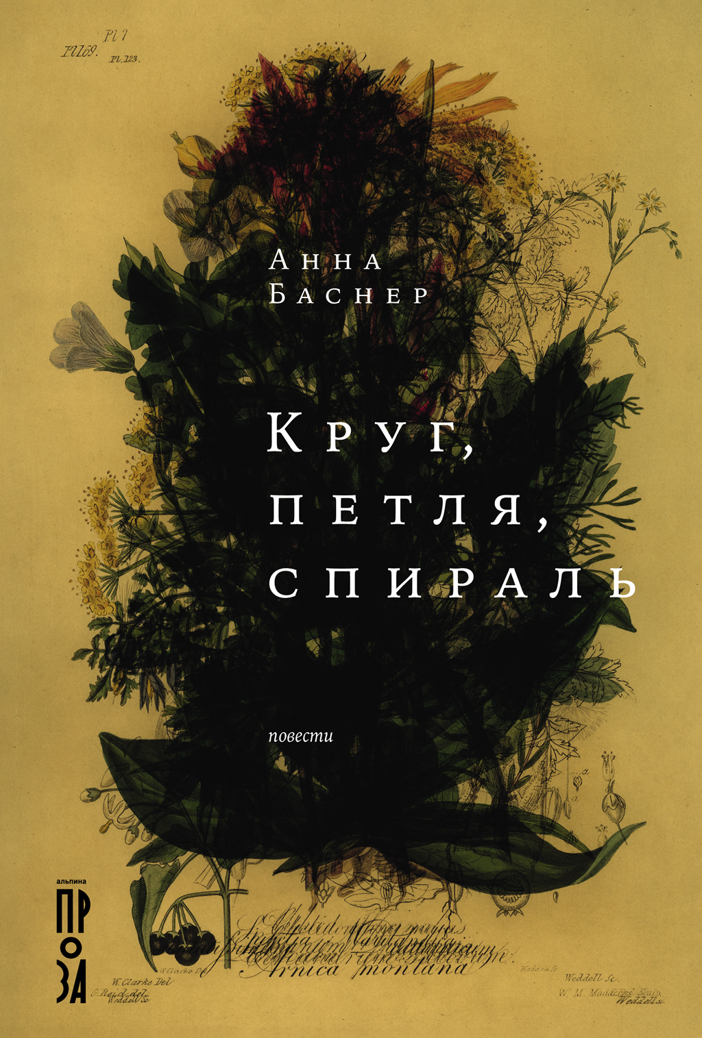 Обложка книги «Круг, петля, спираль»