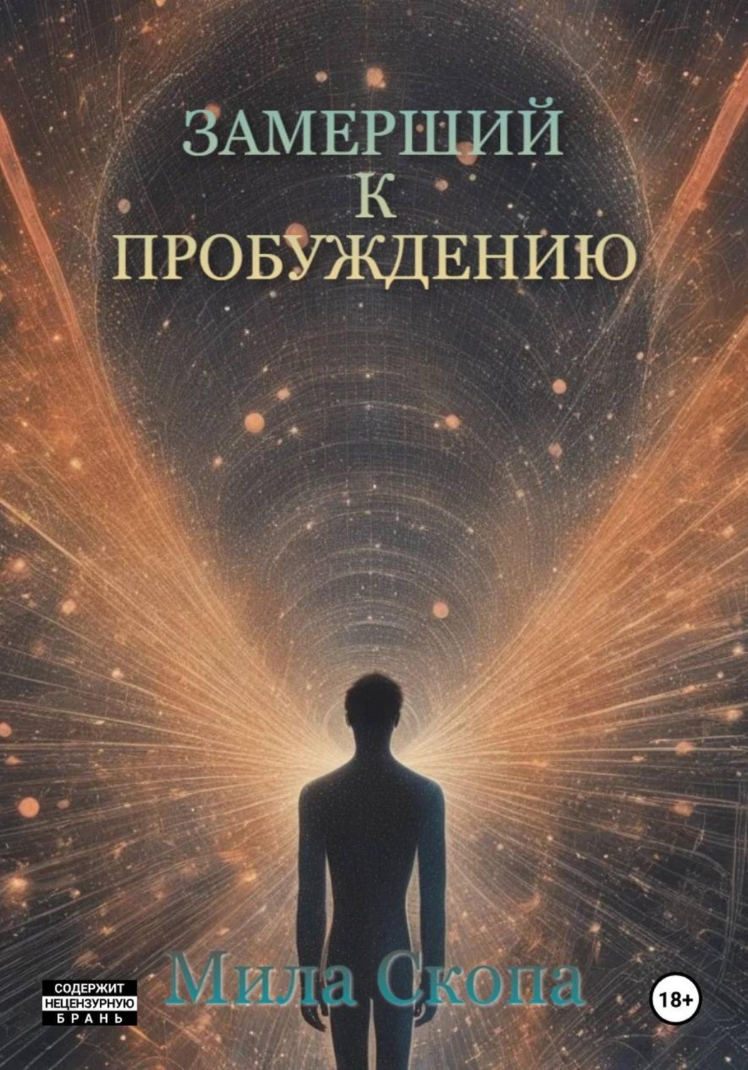 Обложка книги «Замерший к пробуждению»