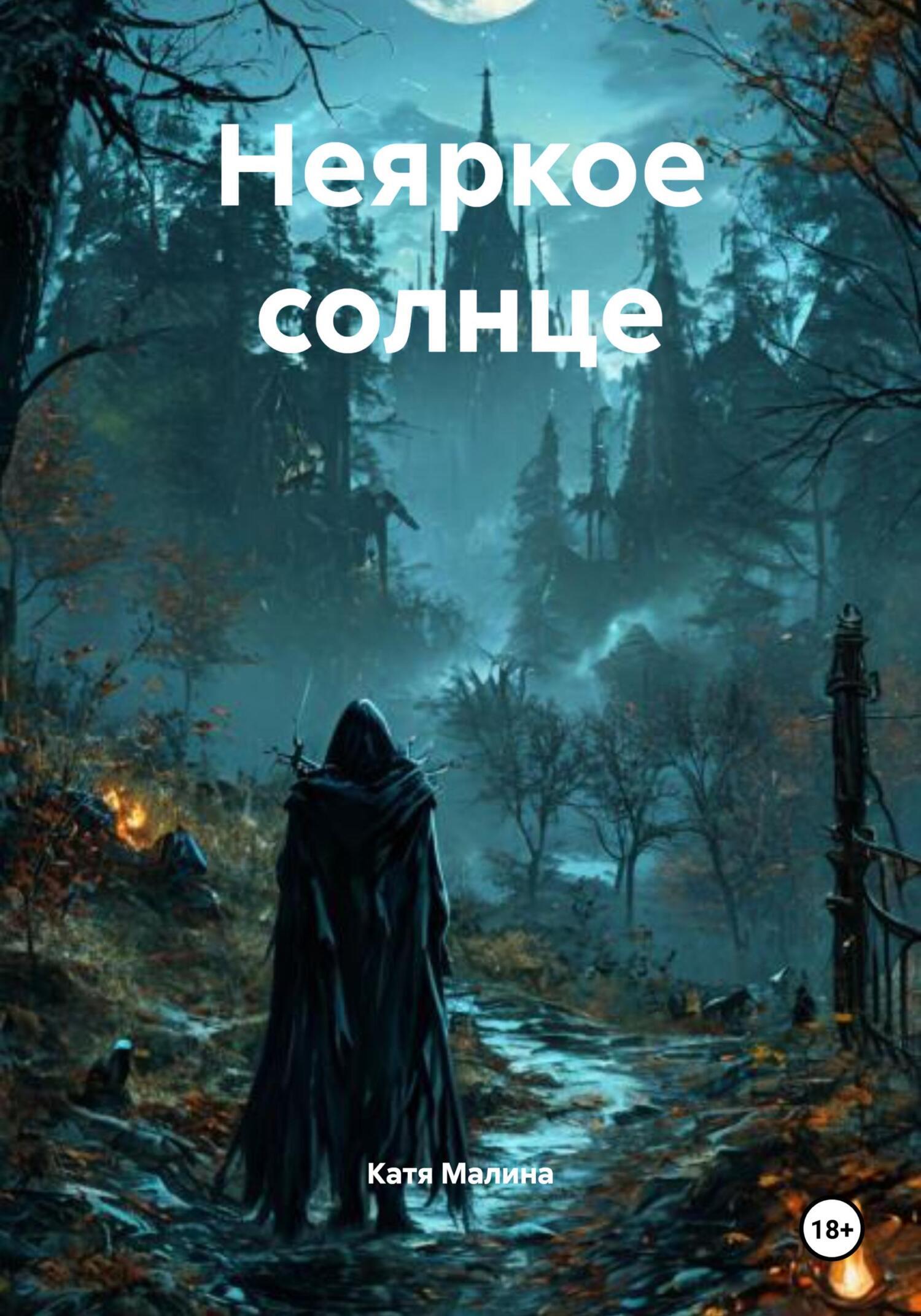 Обложка книги «Неяркое солнце»
