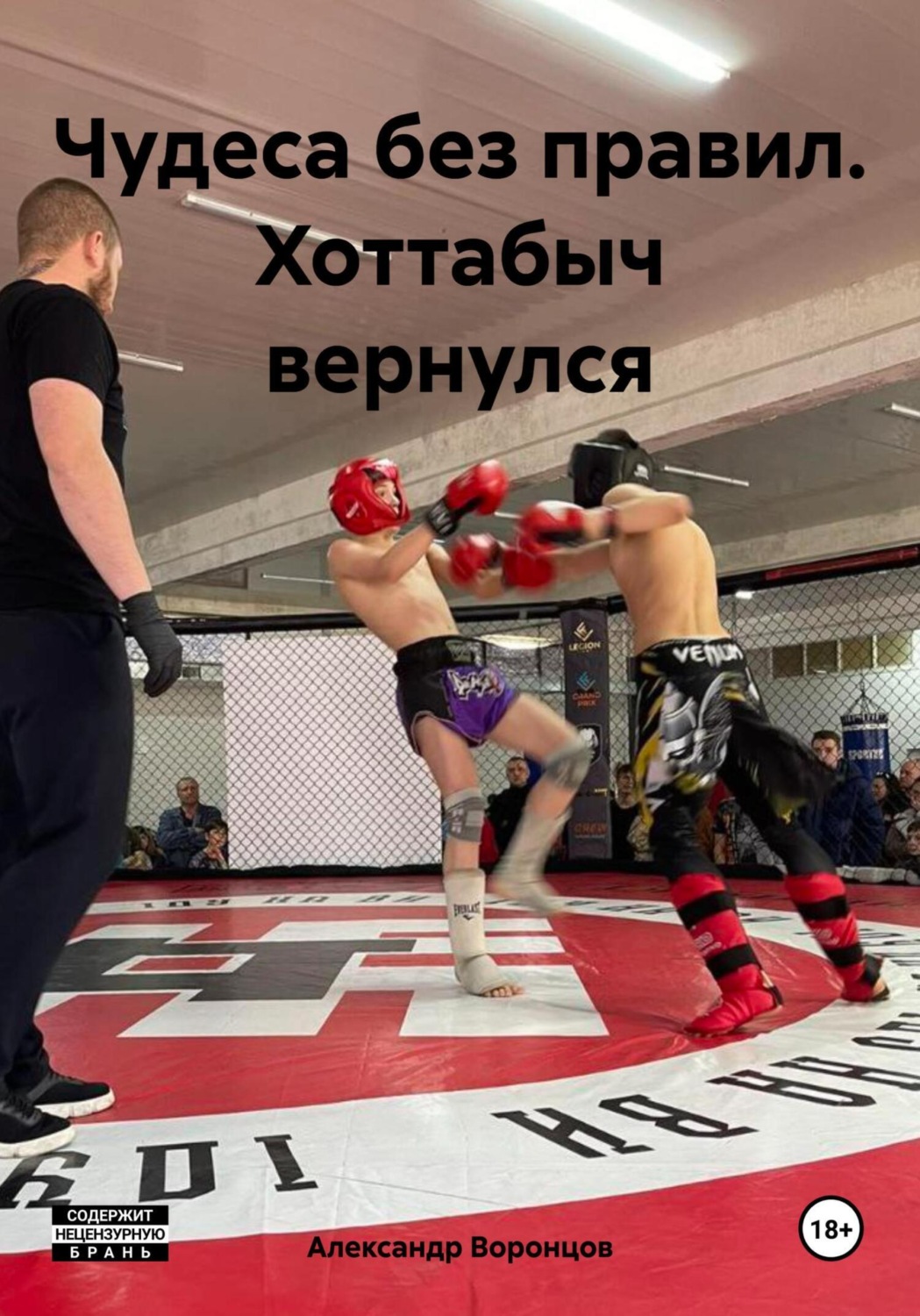 Обложка книги «Чудеса без правил. Хоттабыч вернулся»