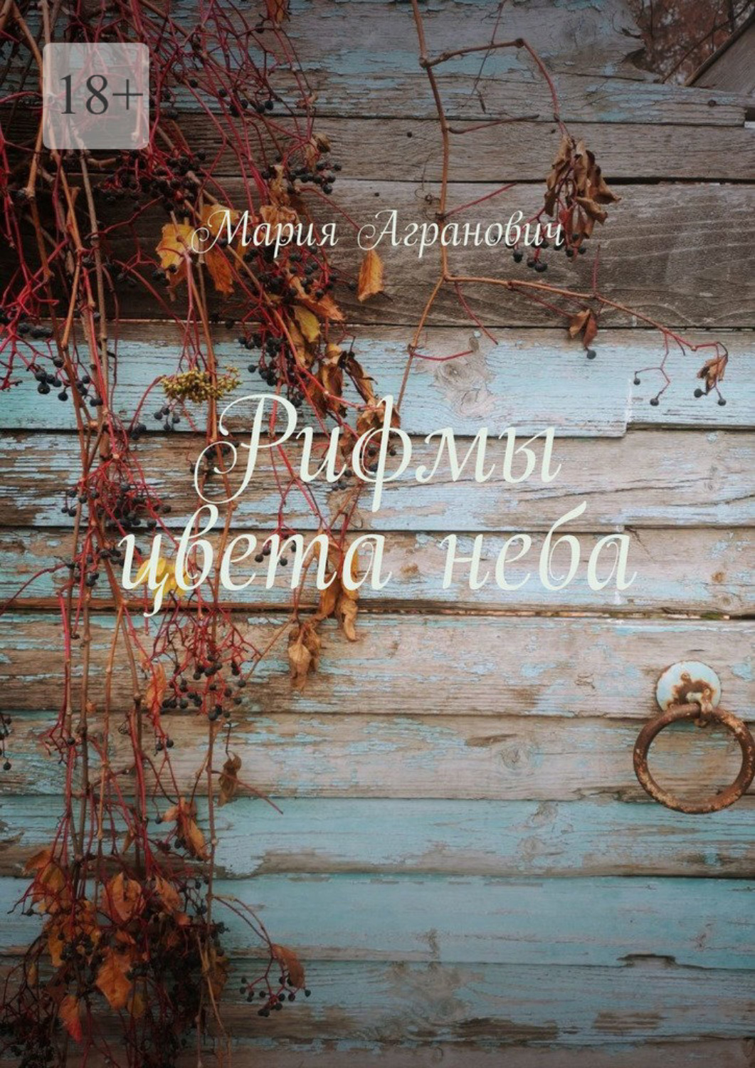 Обложка книги «Рифмы цвета неба»