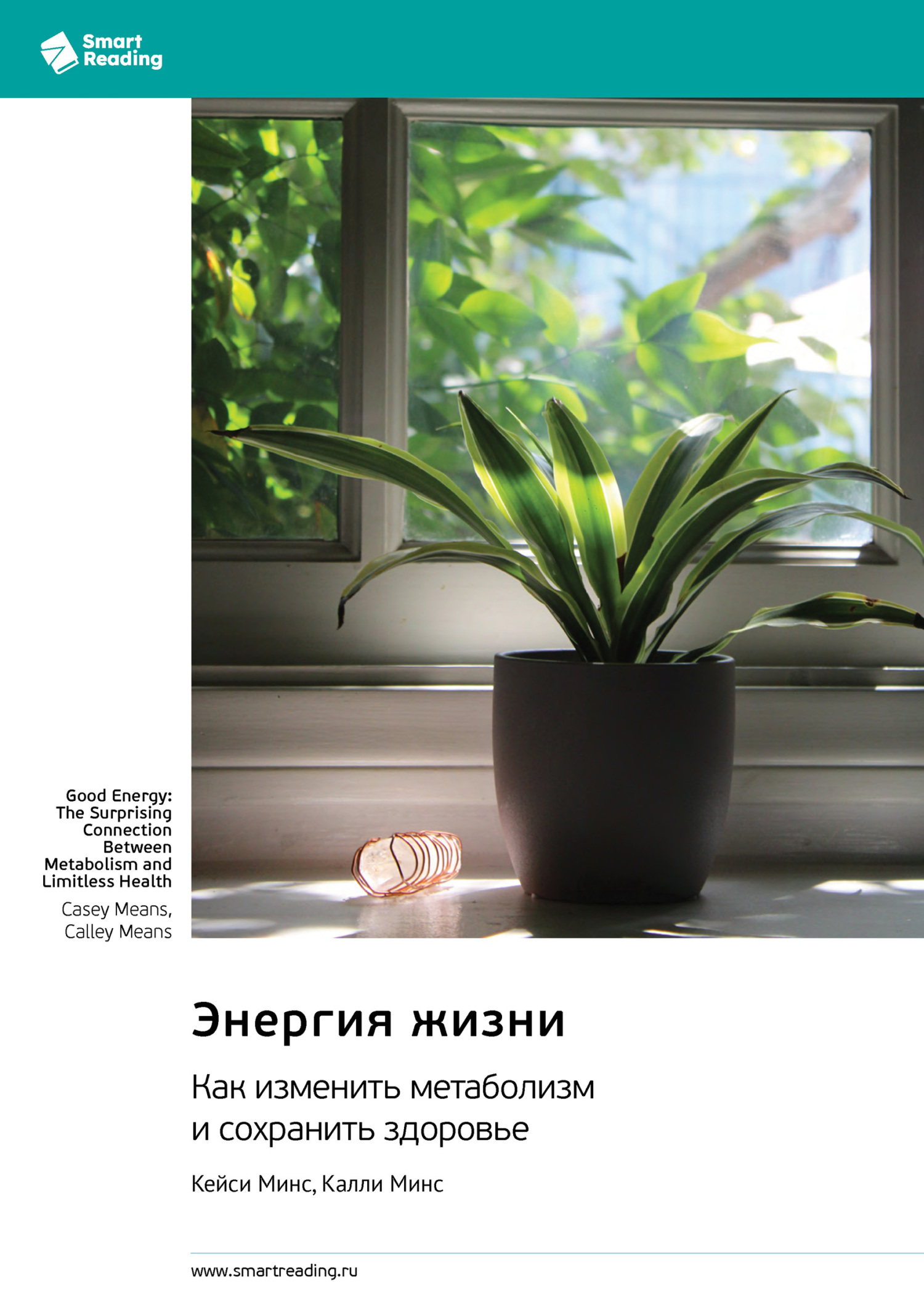 Обложка книги «Энергия жизни. Как изменить метаболизм и сохранить здоровье. Кейси Минс, Калли Минс. Саммари»