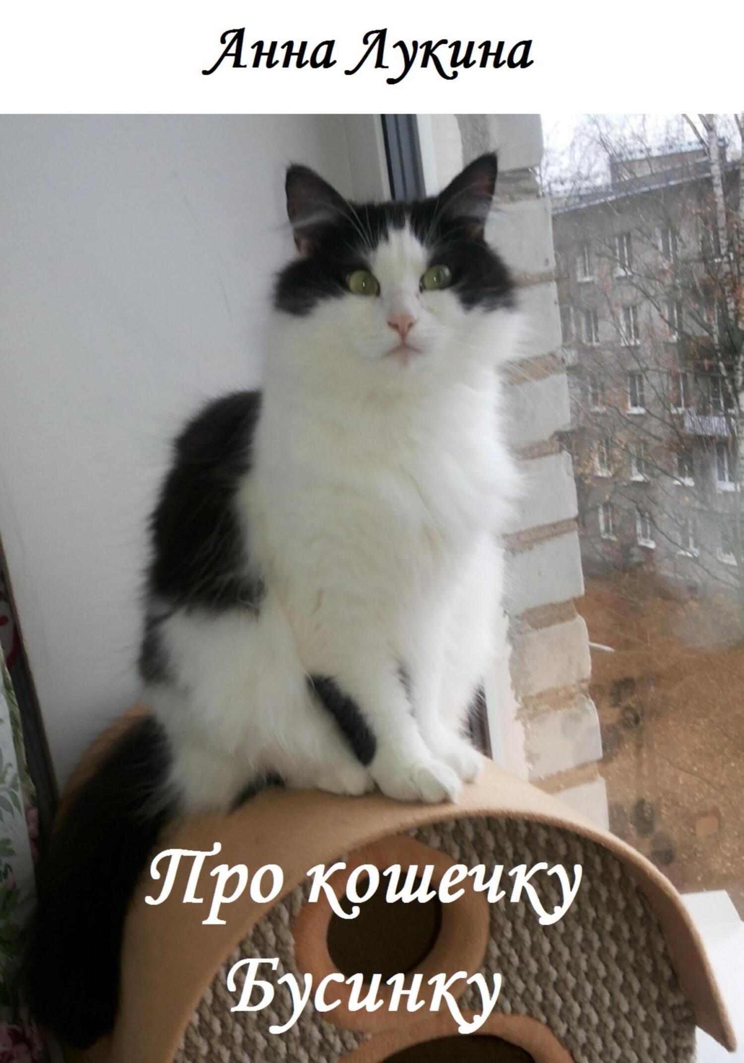 Обложка книги «Про кошечку Бусинку»