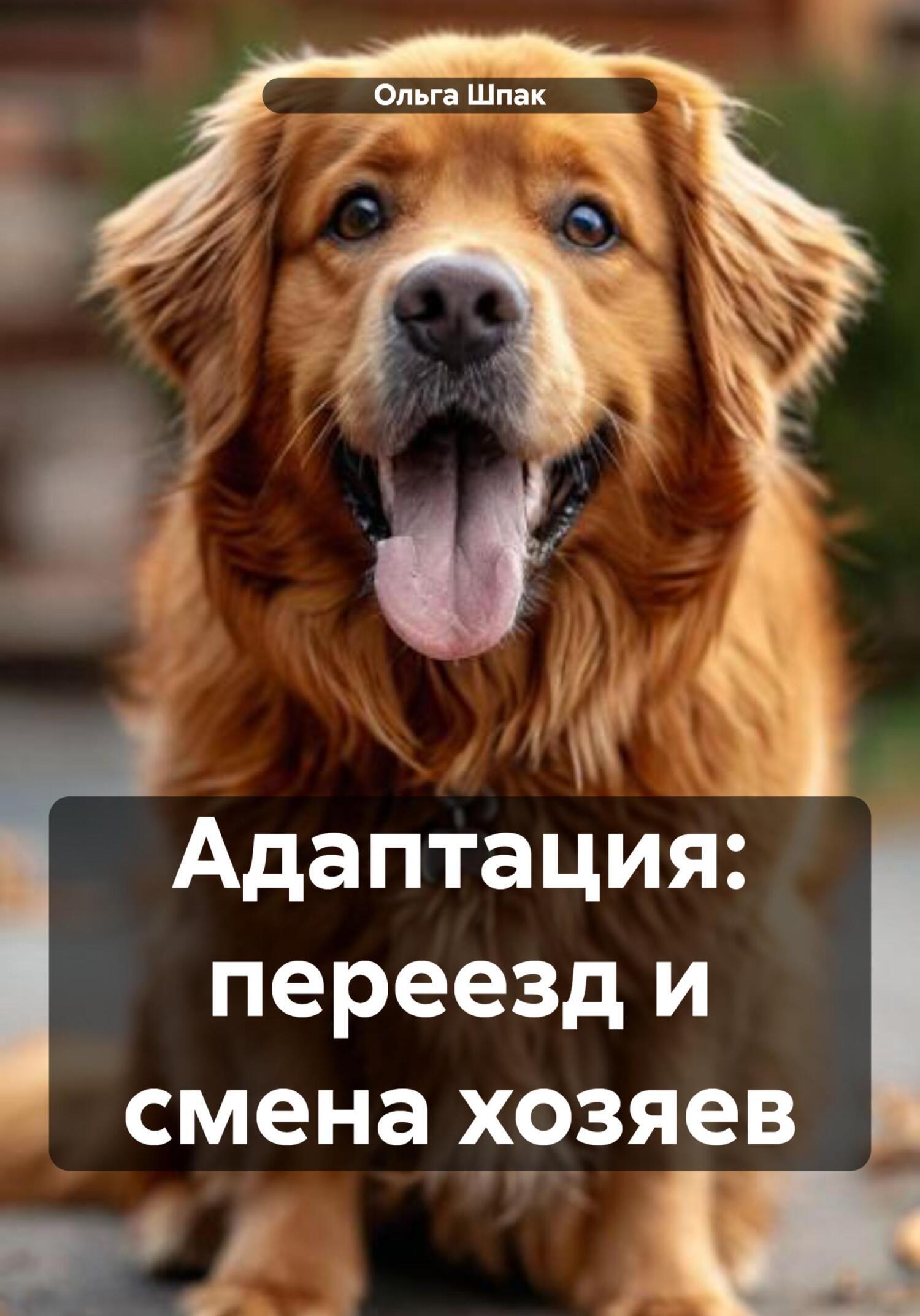 Обложка книги «Адаптация: переезд и смена хозяев»