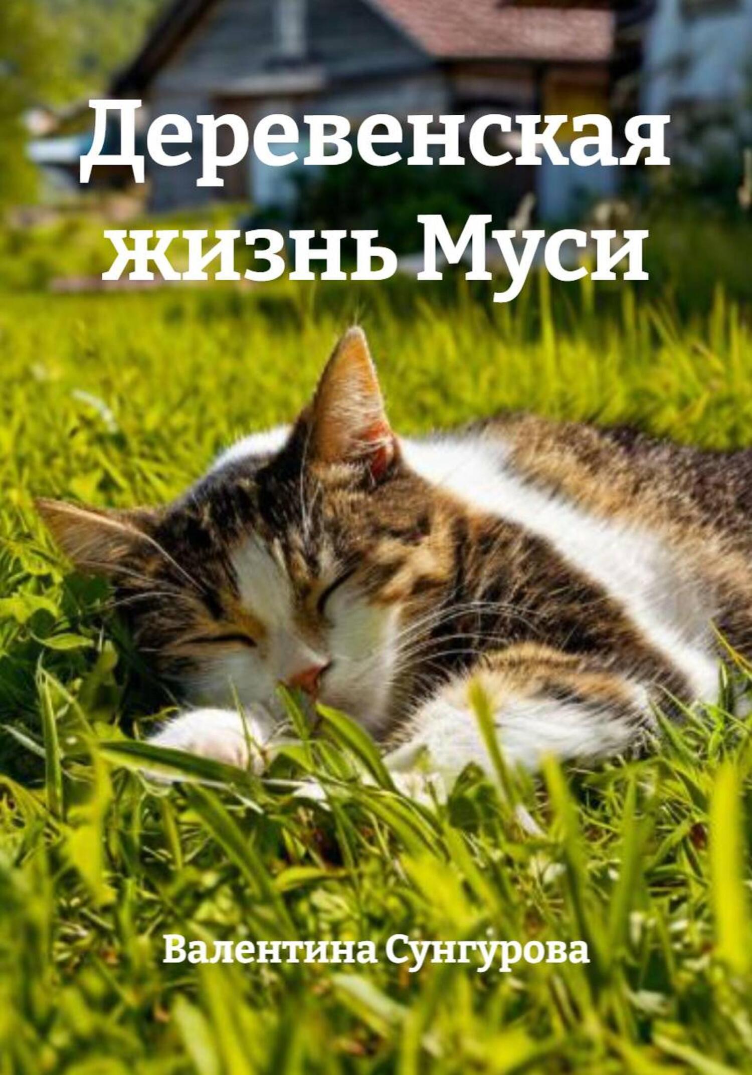 Обложка книги «Приключения Муси»