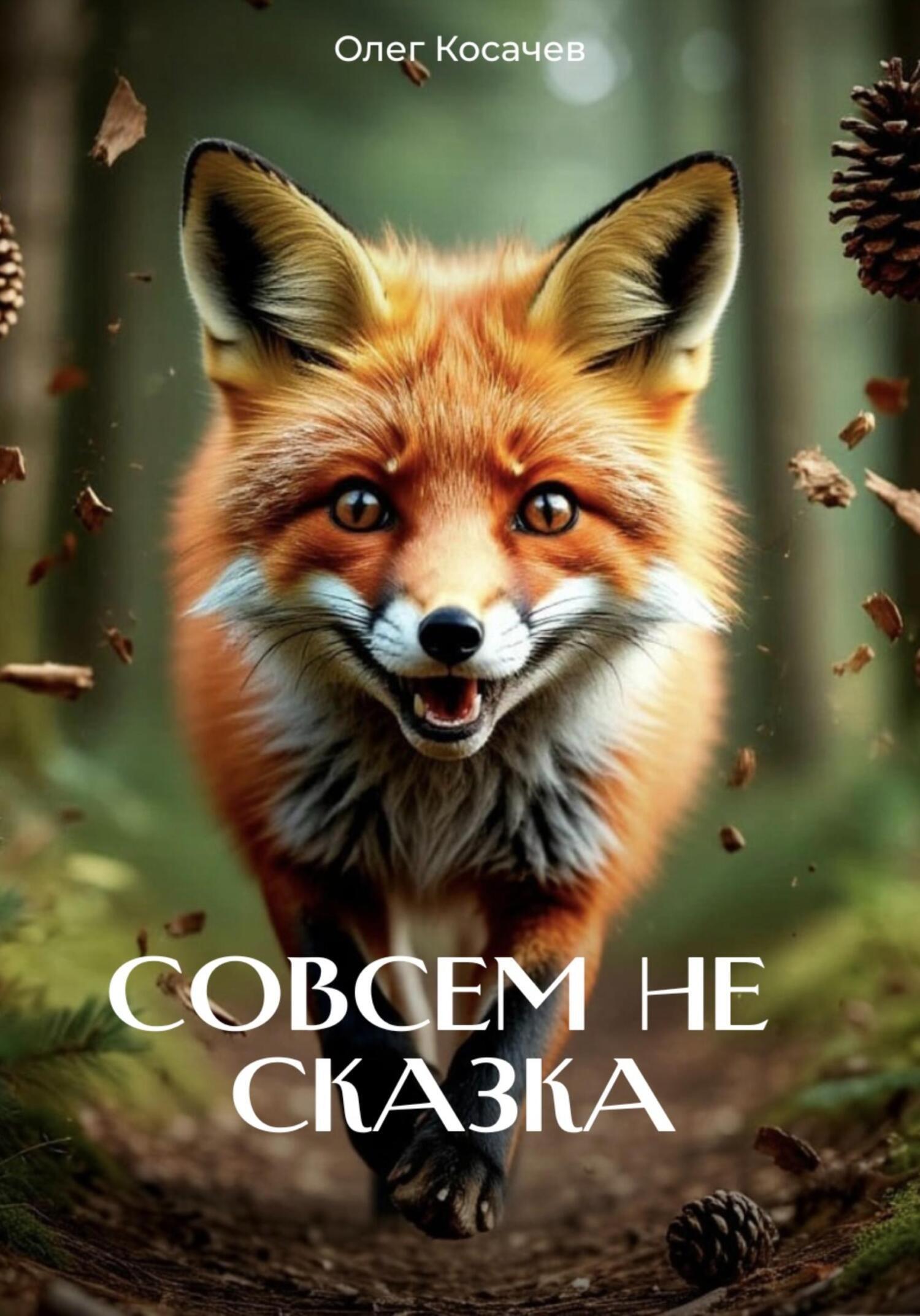 Обложка книги «Совсем не сказка»