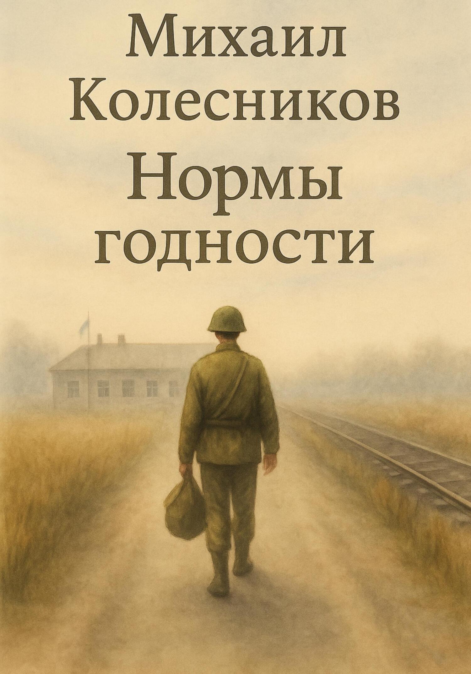 Обложка книги «Нормы годности»