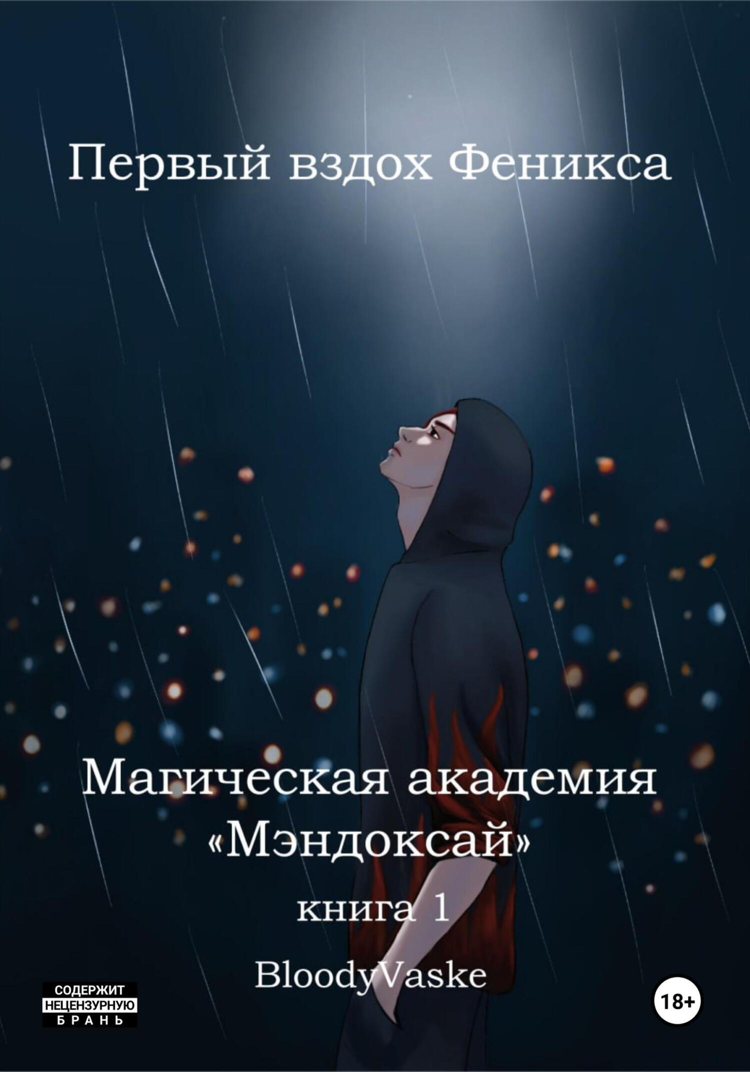 Обложка книги «Магическая академия Мэндоксай»