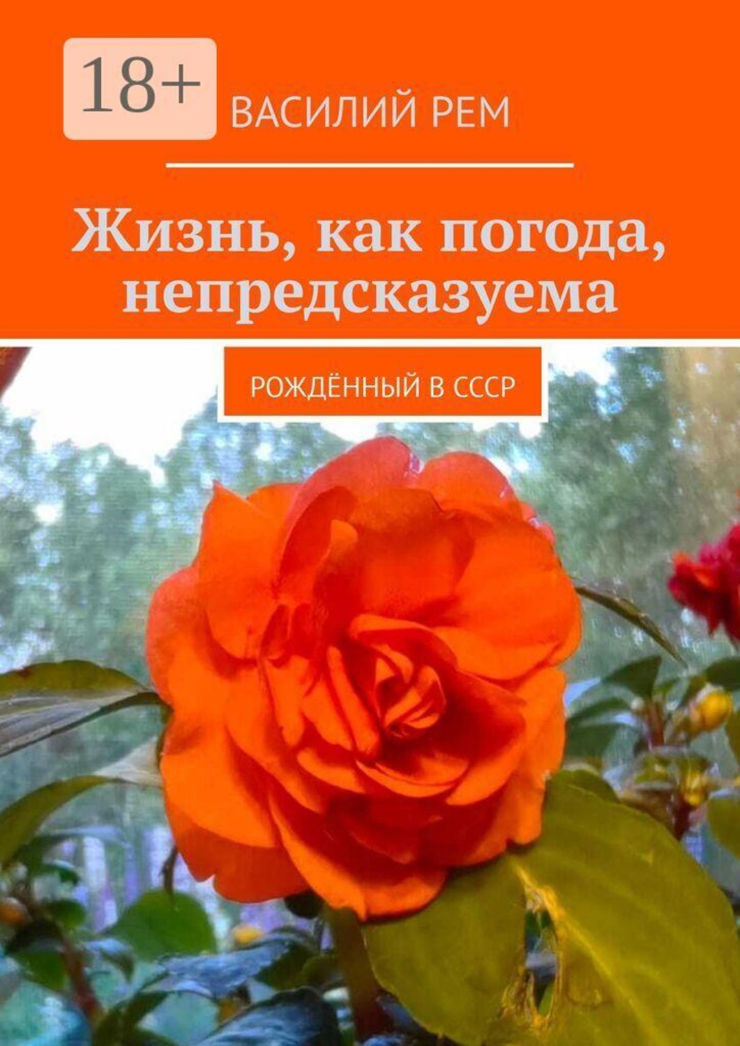 Обложка книги «Жизнь, как погода, непредсказуема. Рождённый в СССР»