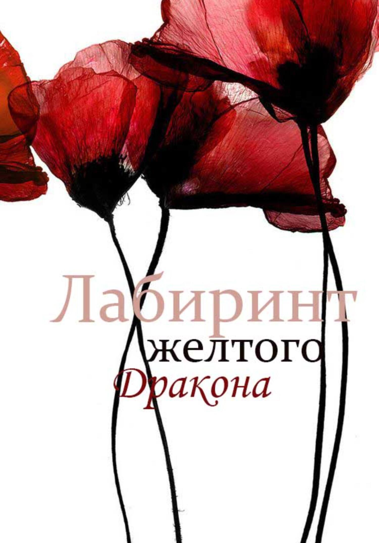 Обложка книги «Лабиринт желтого дракона»