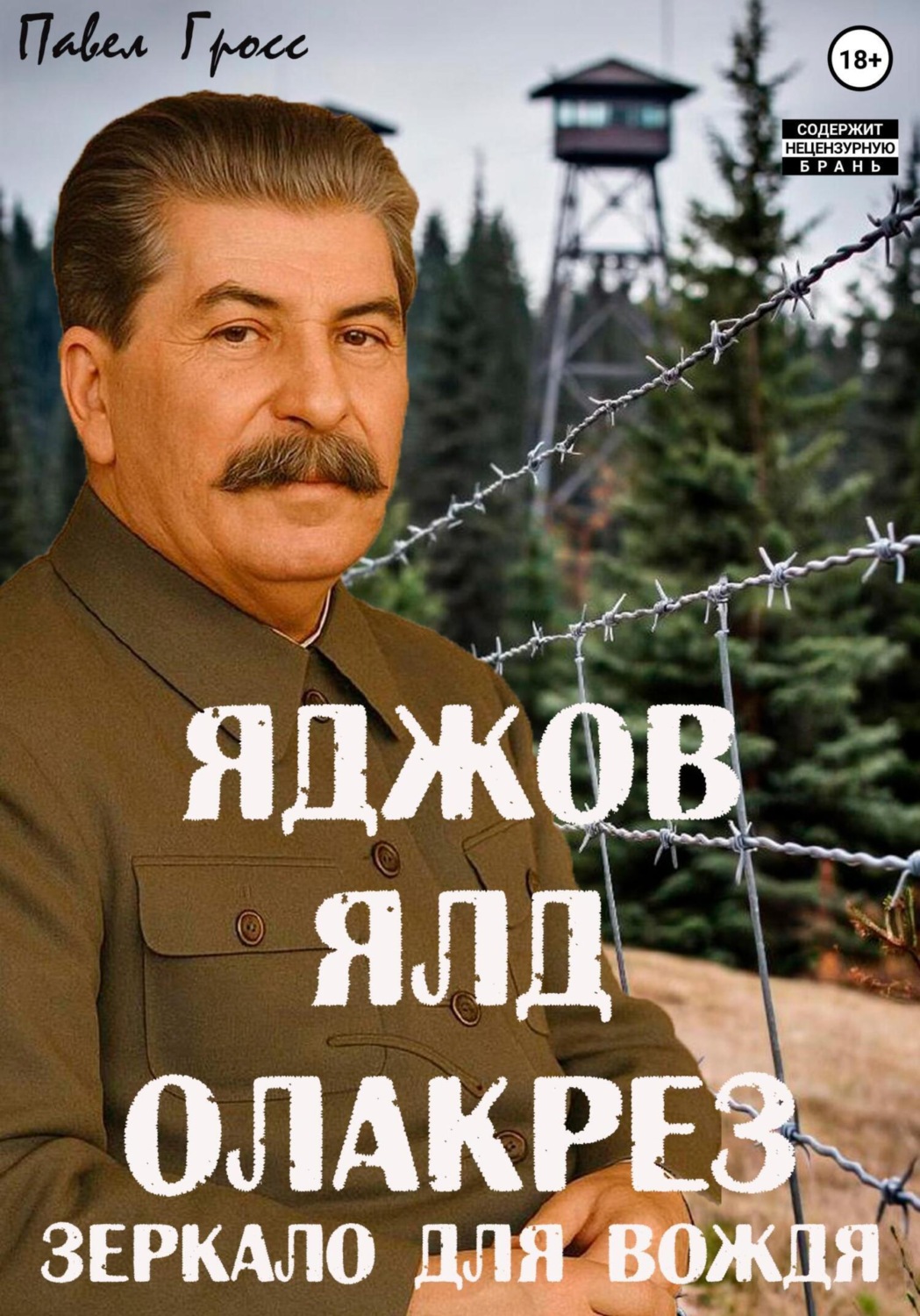 Обложка книги «Яджов ялд олакреЗ (Зеркало для вождЯ)»