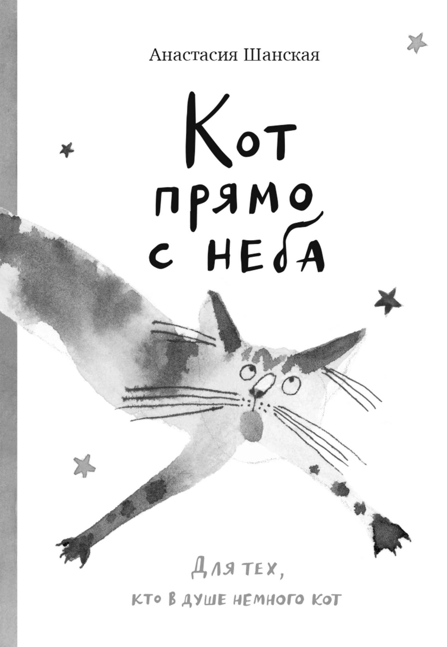 Обложка книги «Кот прямо с неба»