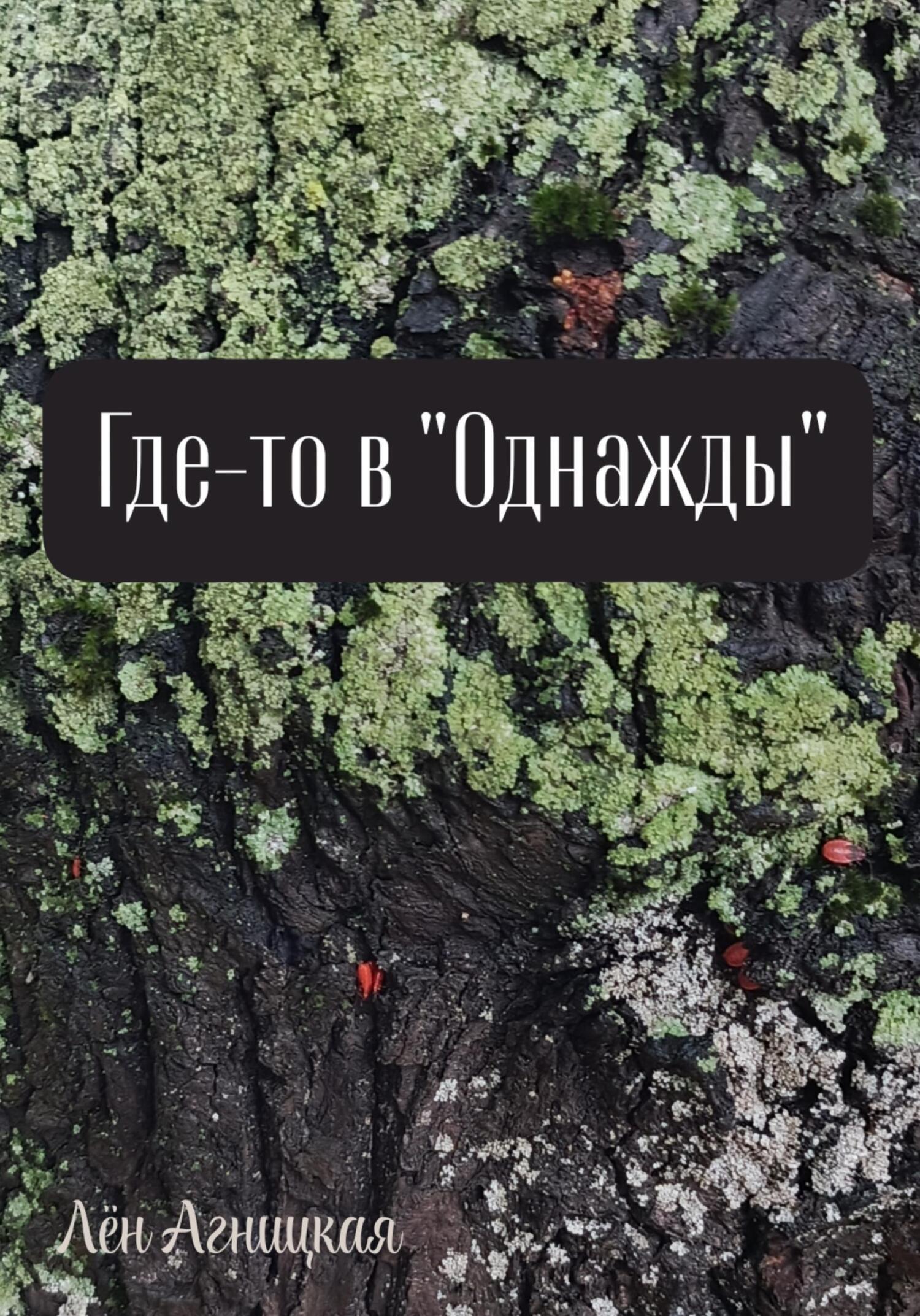 Обложка книги «Где-то в «однажды»»