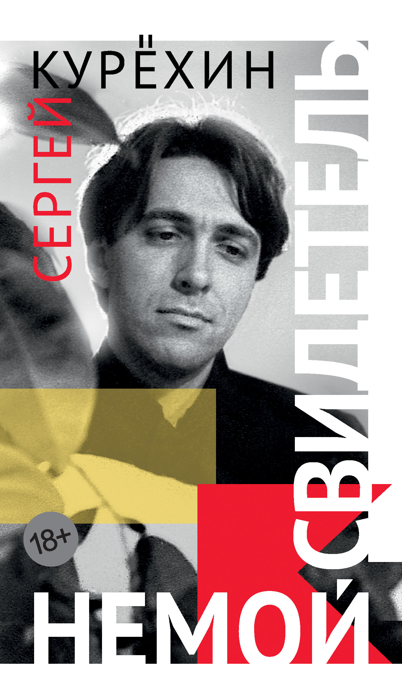 Обложка книги «Немой свидетель»